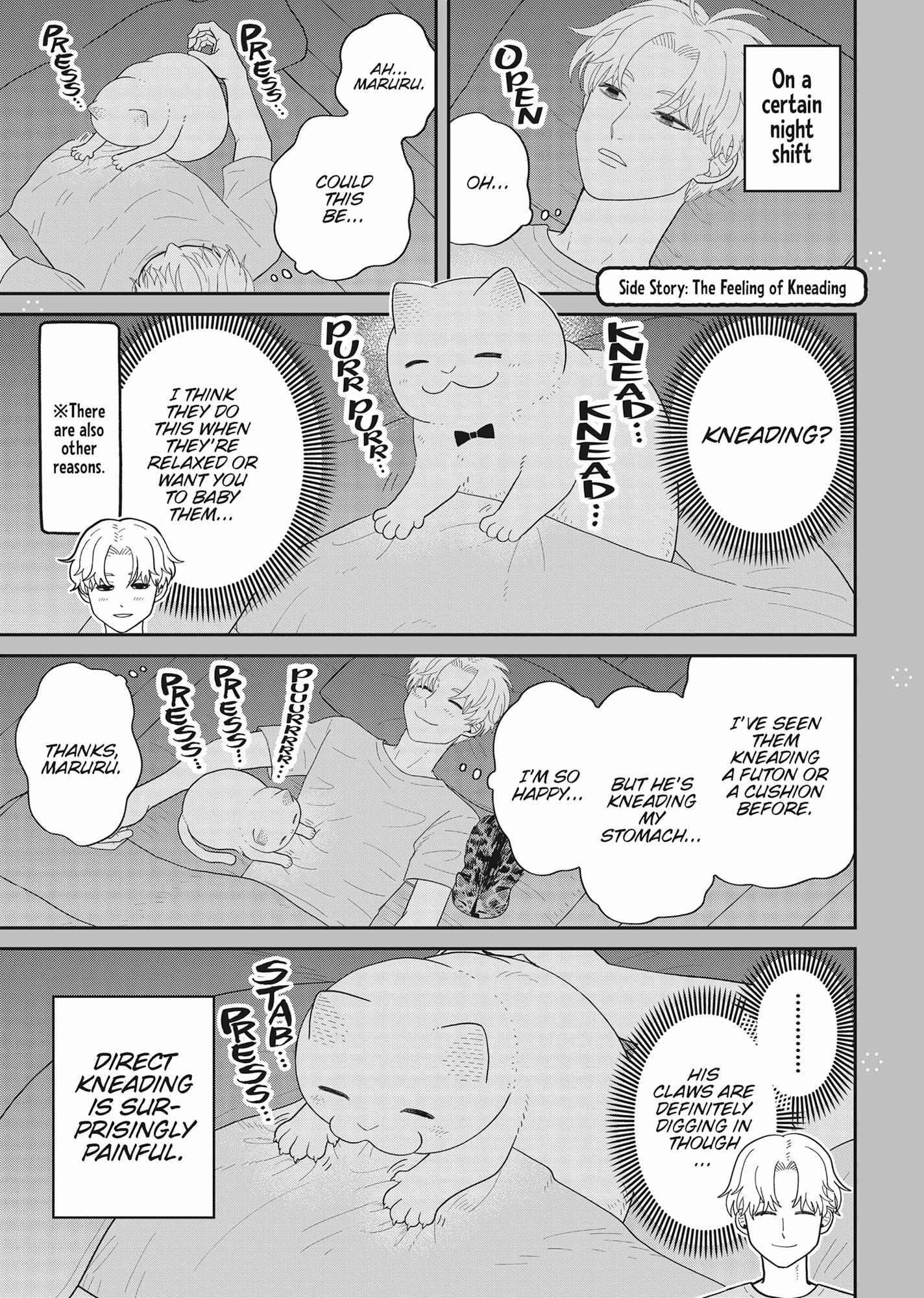 Tsureneko: Maruru to Hachi Chapter 38 page 13 - 