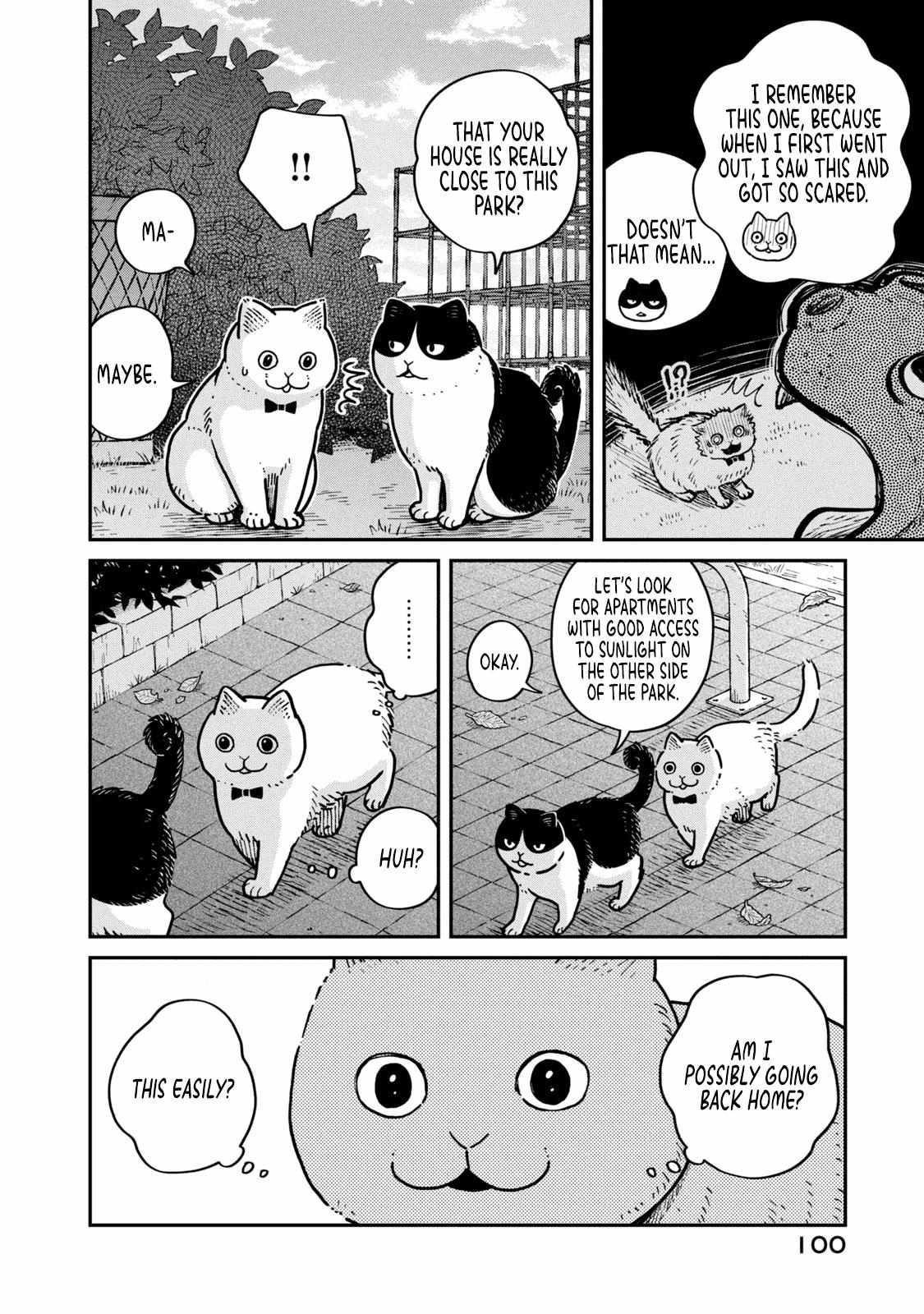 Tsureneko: Maruru to Hachi Chapter 4 page 12 - 