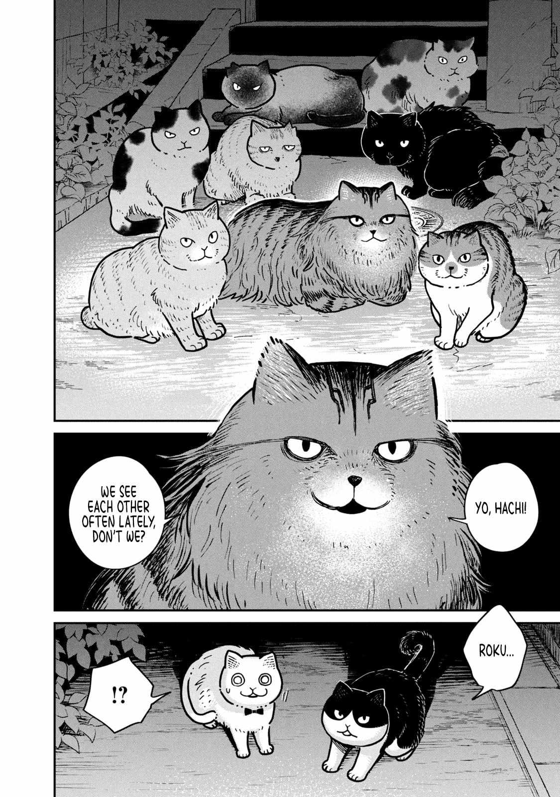 Tsureneko: Maruru to Hachi Chapter 4 page 14 - 