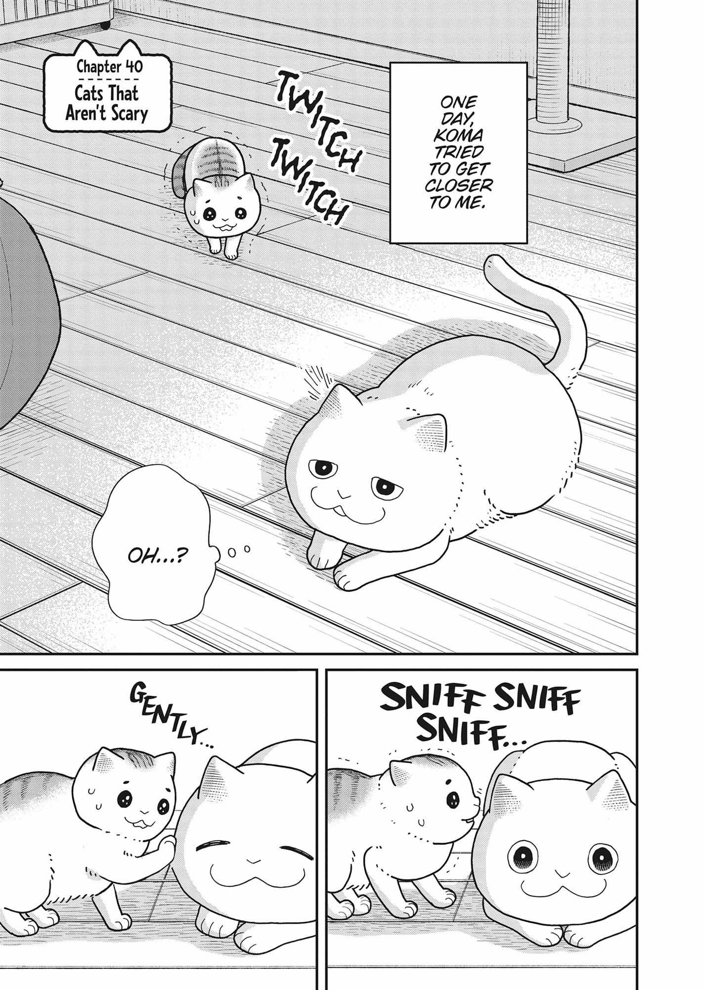 Tsureneko: Maruru to Hachi Chapter 40 page 1 - 