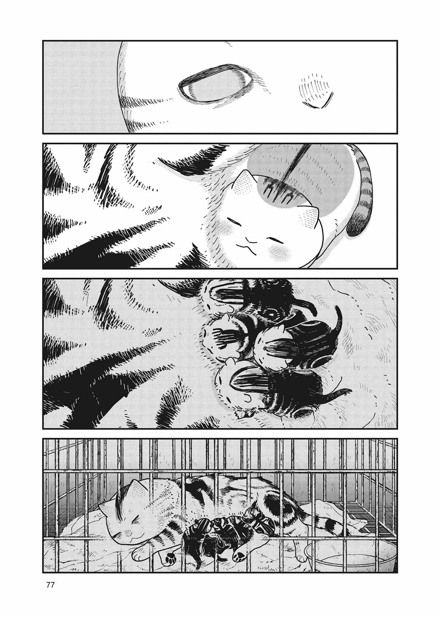 Tsureneko: Maruru to Hachi Chapter 40 page 13 - 