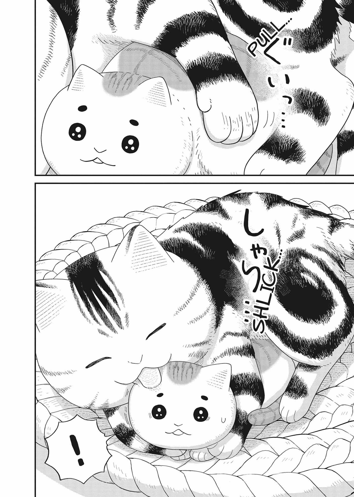 Tsureneko: Maruru to Hachi Chapter 40 page 14 - 