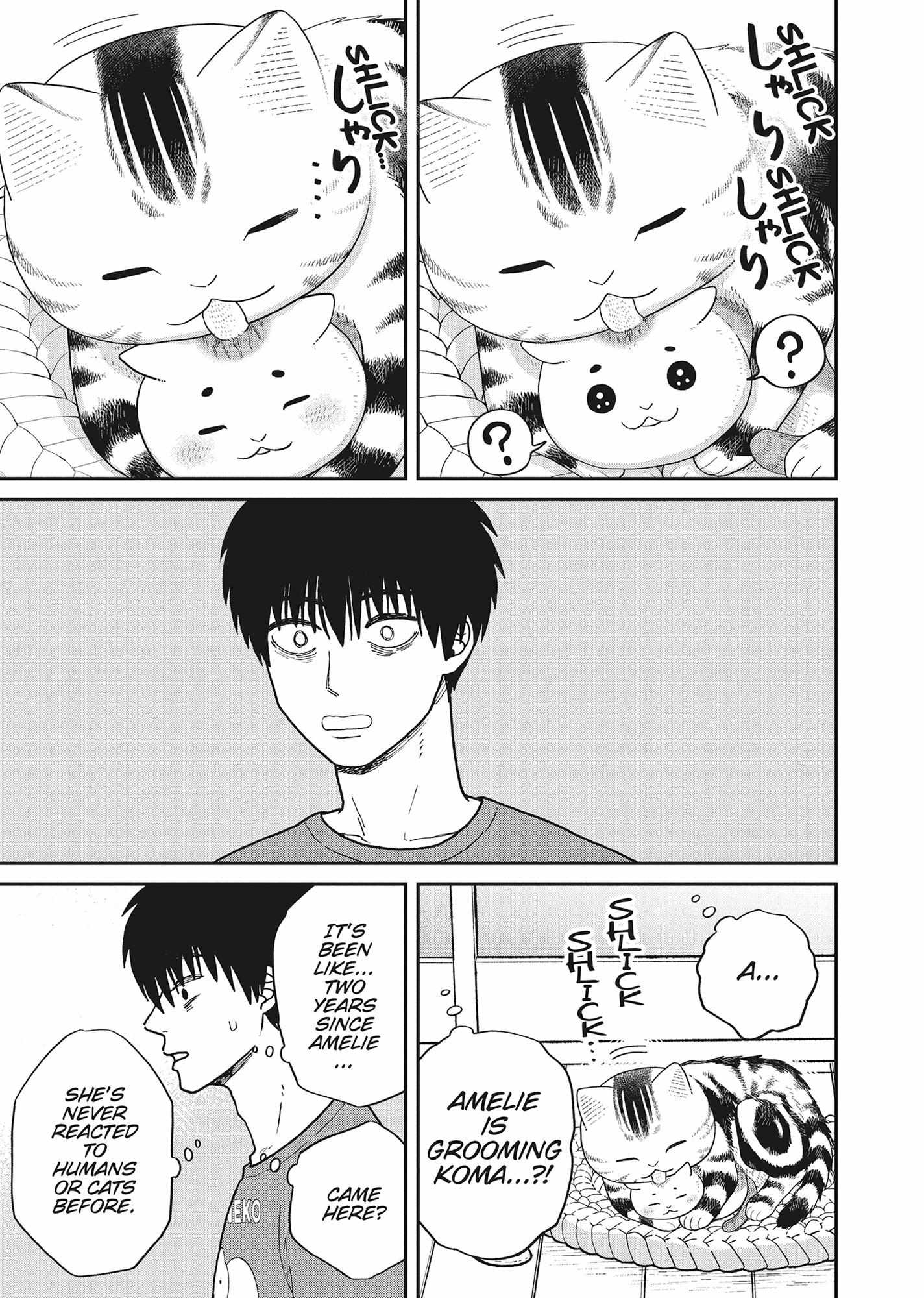 Tsureneko: Maruru to Hachi Chapter 40 page 15 - 