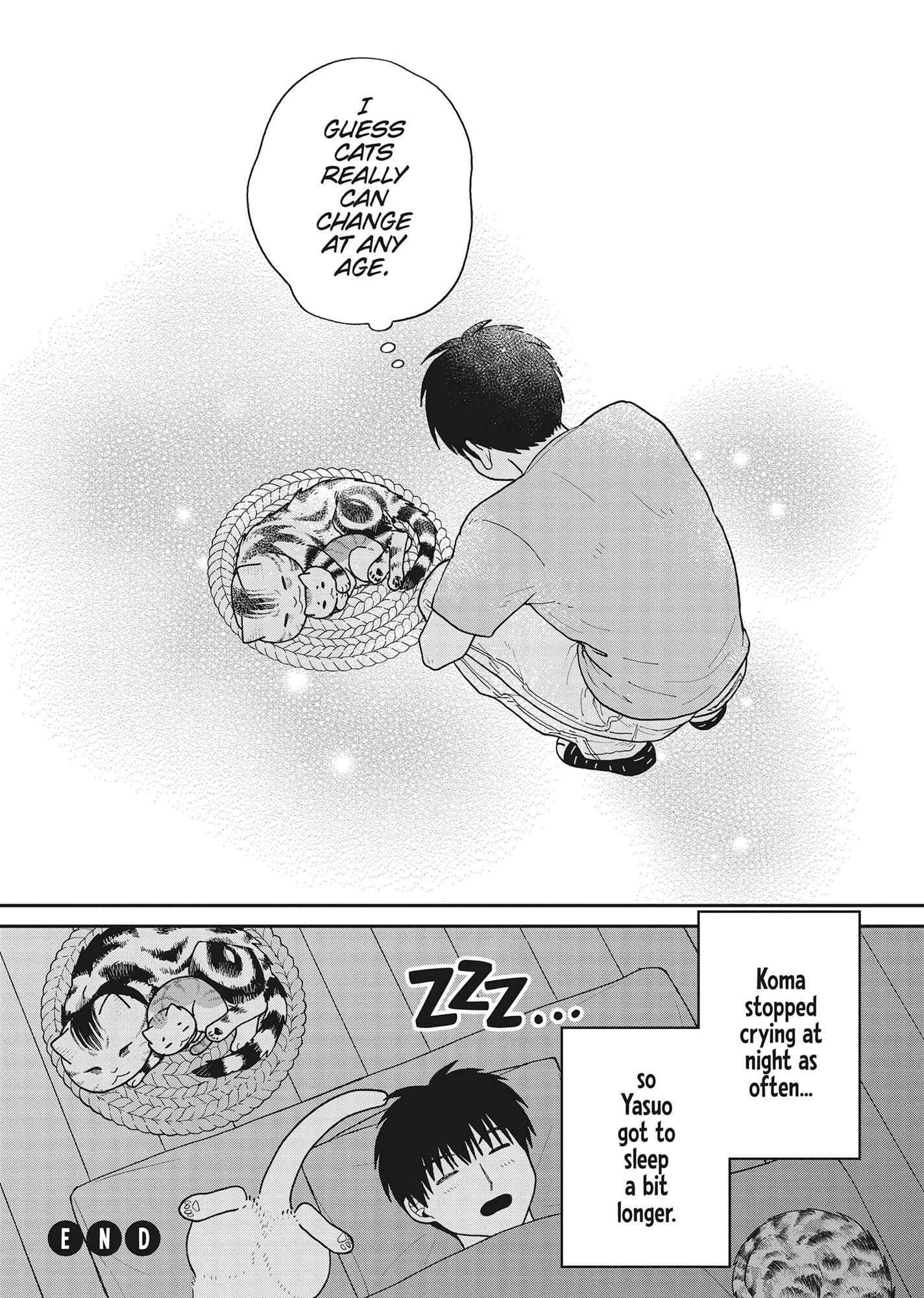 Tsureneko: Maruru to Hachi Chapter 40 page 17 - 