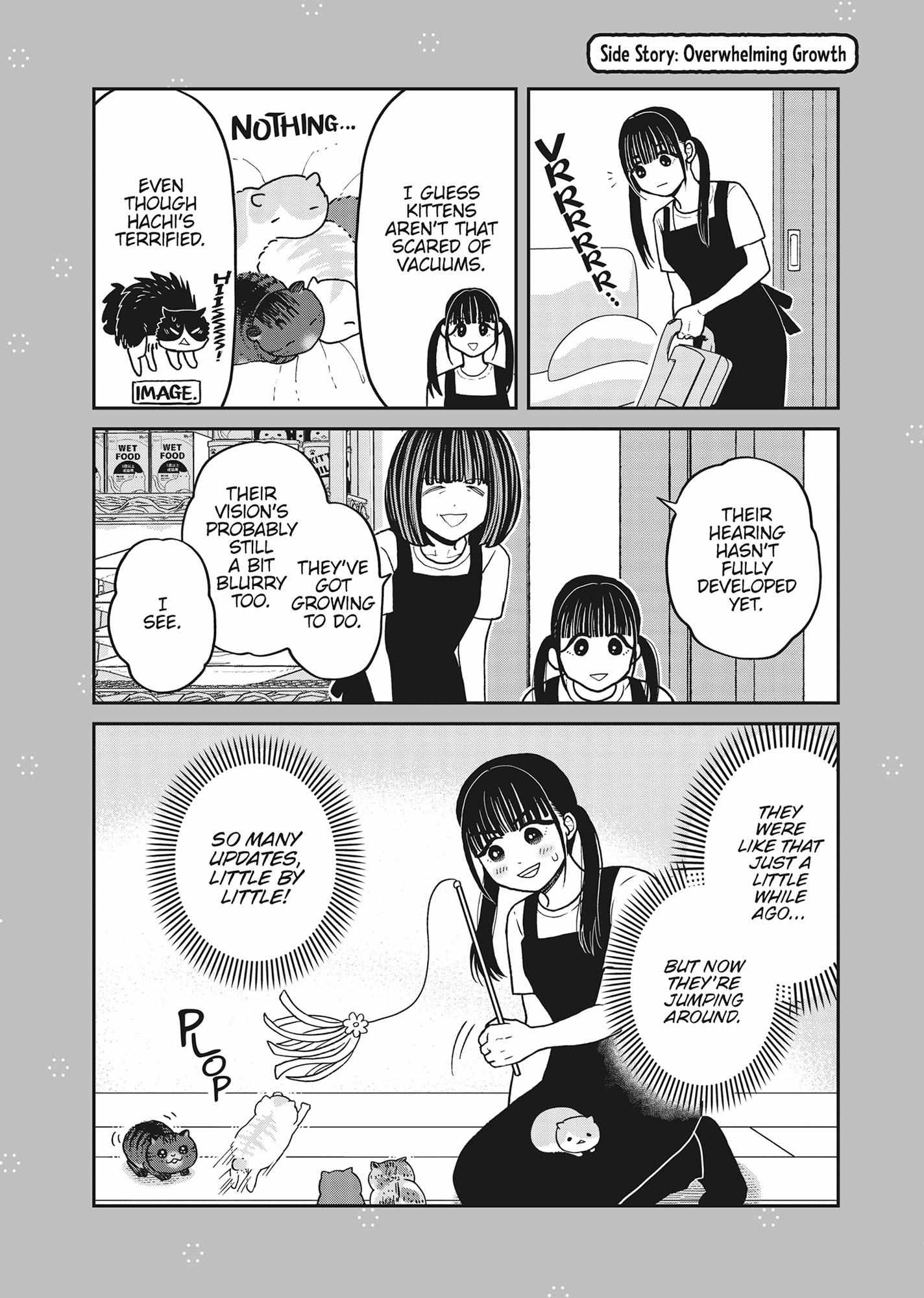 Tsureneko: Maruru to Hachi Chapter 40 page 28 - 