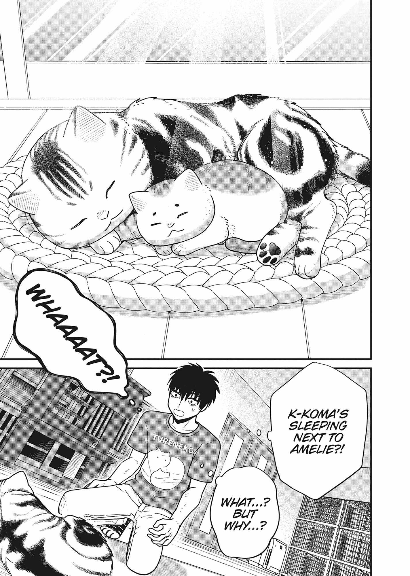 Tsureneko: Maruru to Hachi Chapter 40 page 9 - 