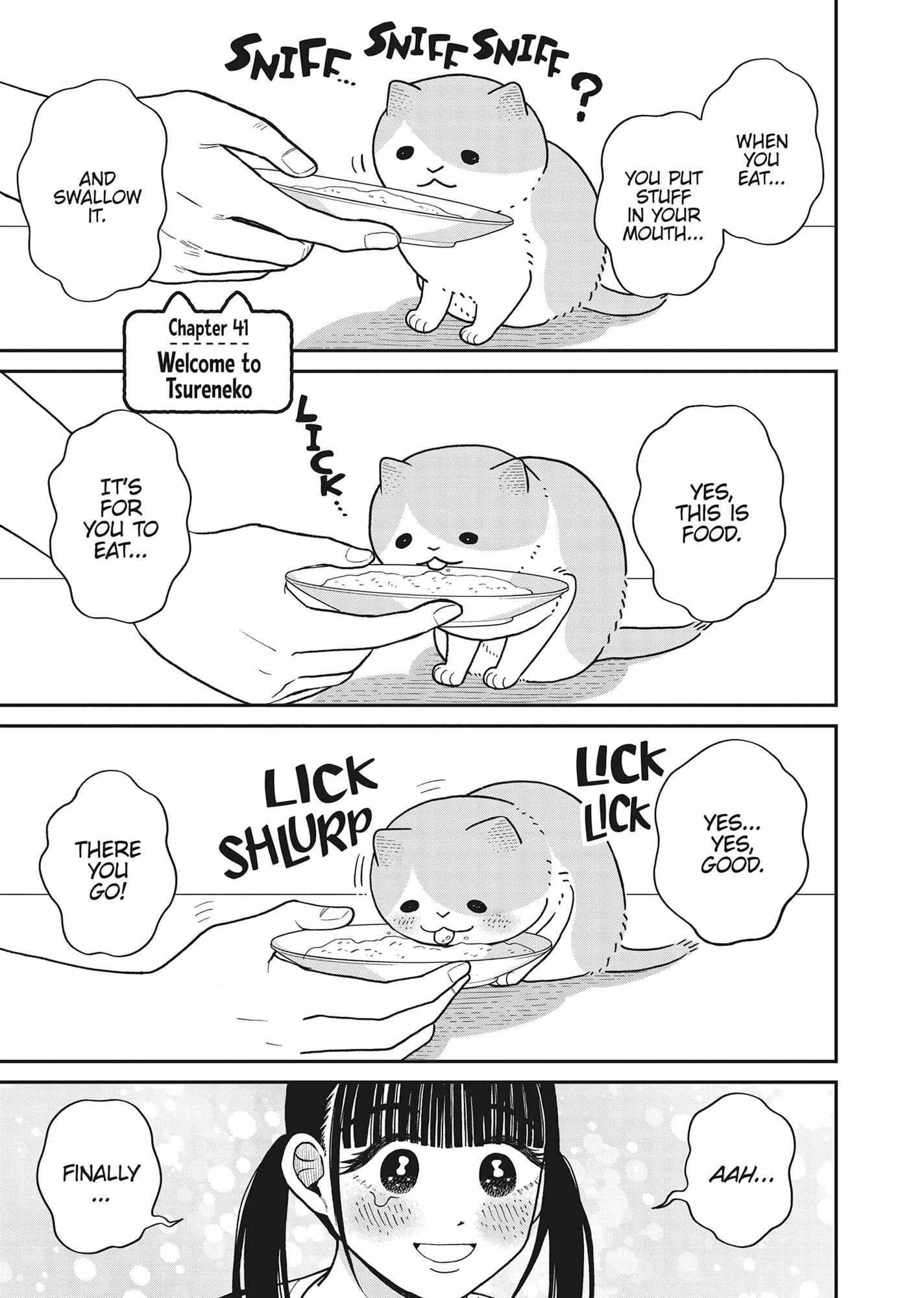 Tsureneko: Maruru to Hachi Chapter 41 page 1 - 