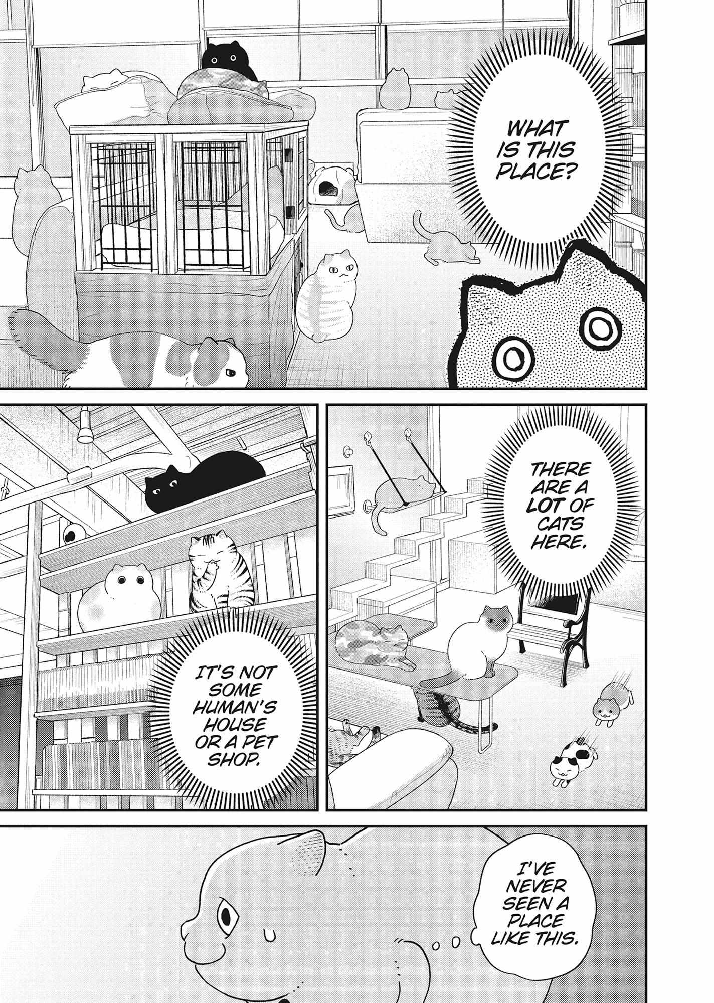 Tsureneko: Maruru to Hachi Chapter 41 page 14 - 