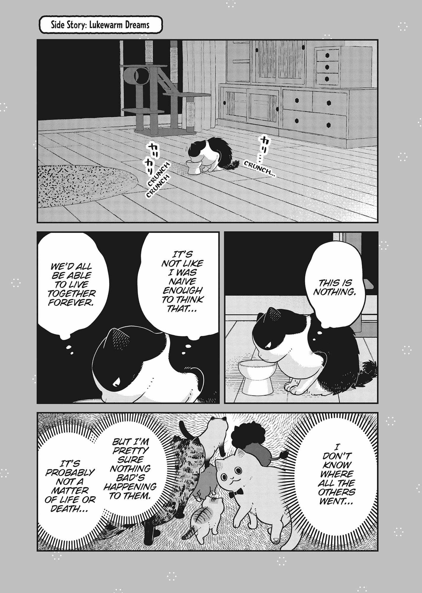 Tsureneko: Maruru to Hachi Chapter 41 page 18 - 