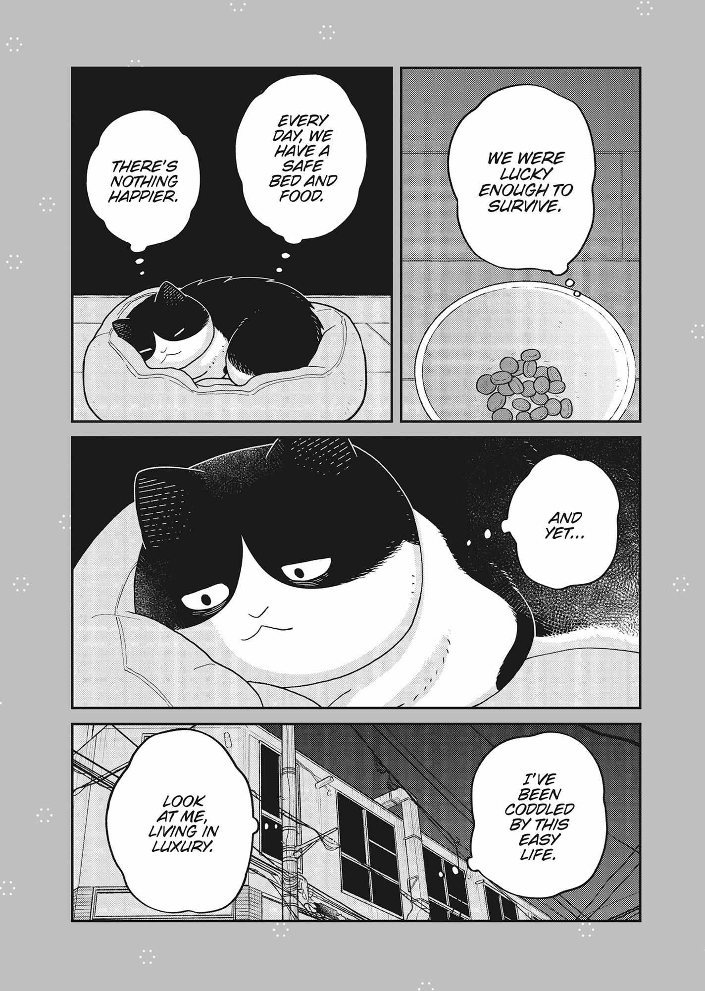 Tsureneko: Maruru to Hachi Chapter 41 page 19 - 