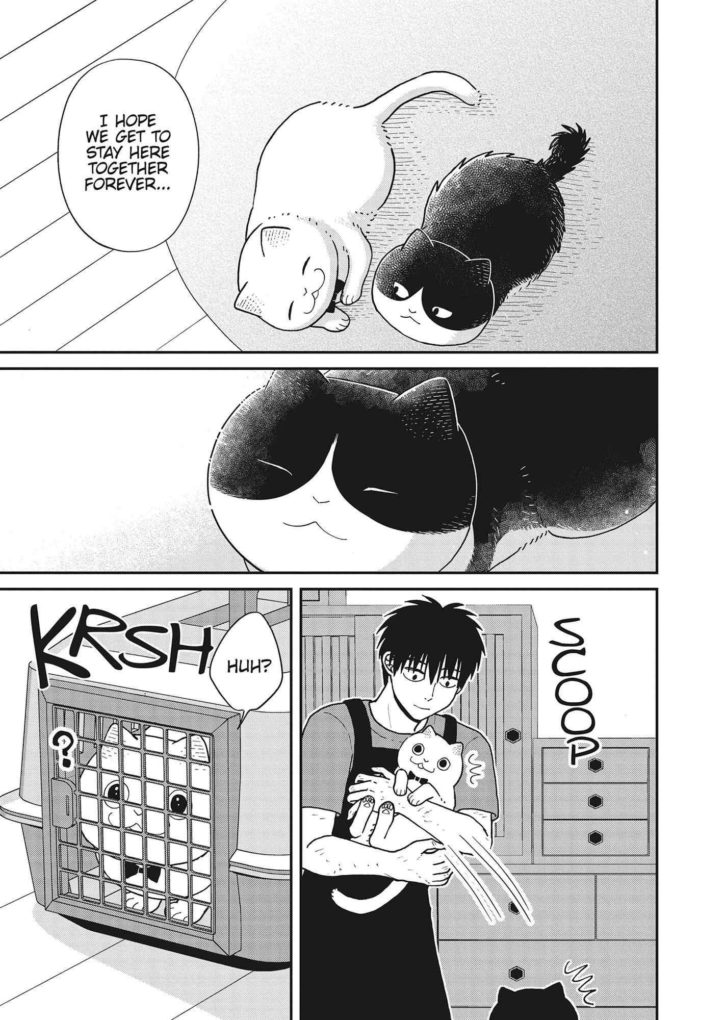 Tsureneko: Maruru to Hachi Chapter 41 page 7 - 