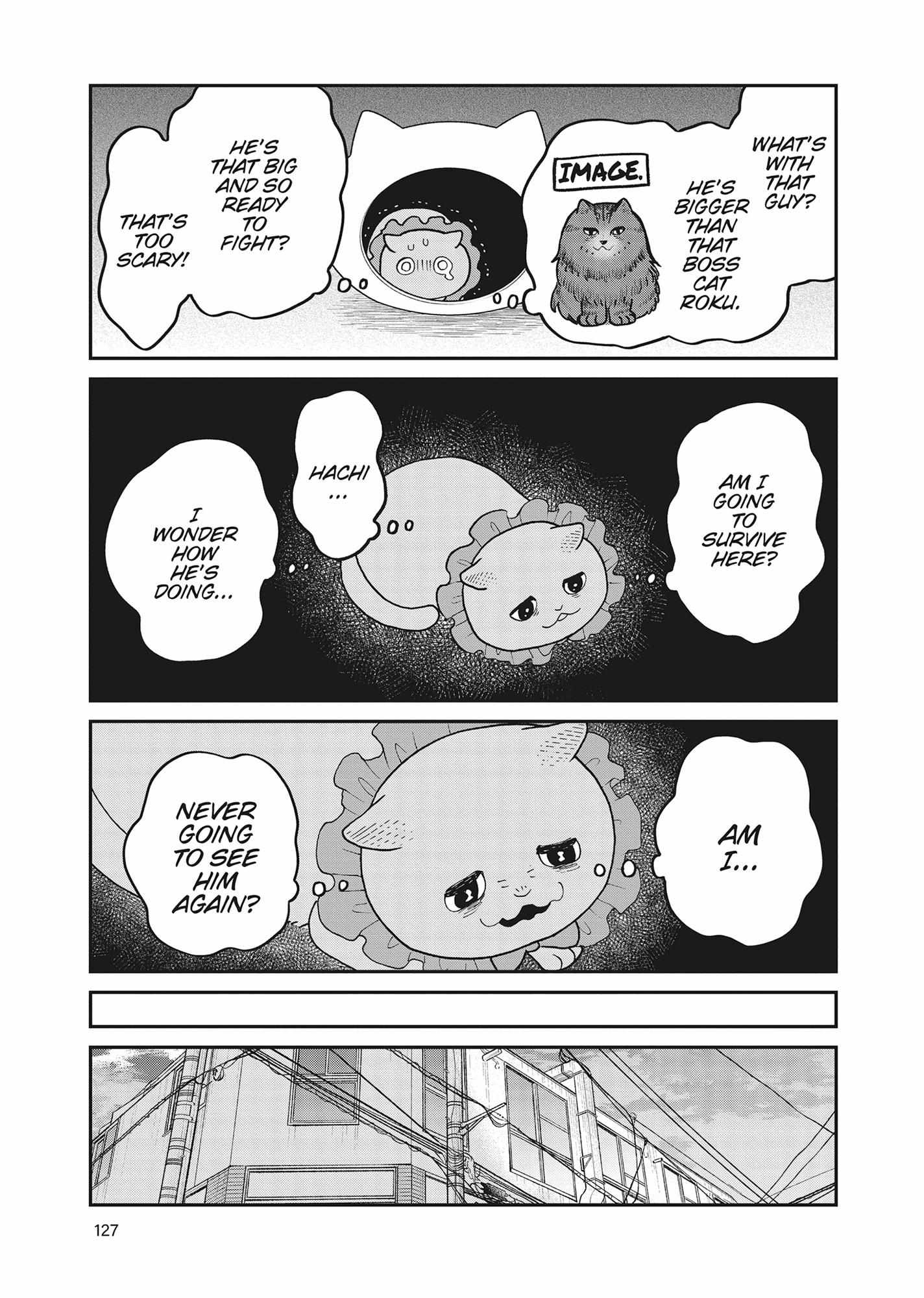 Tsureneko: Maruru to Hachi Chapter 42 page 12 - 