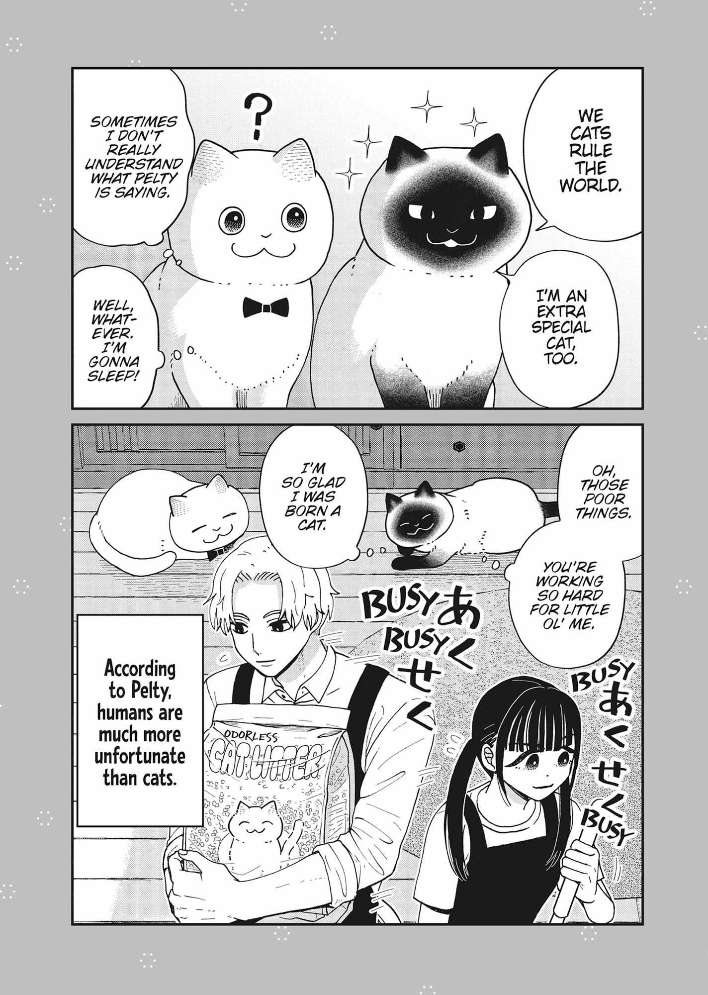 Tsureneko: Maruru to Hachi Chapter 42 page 29 - 
