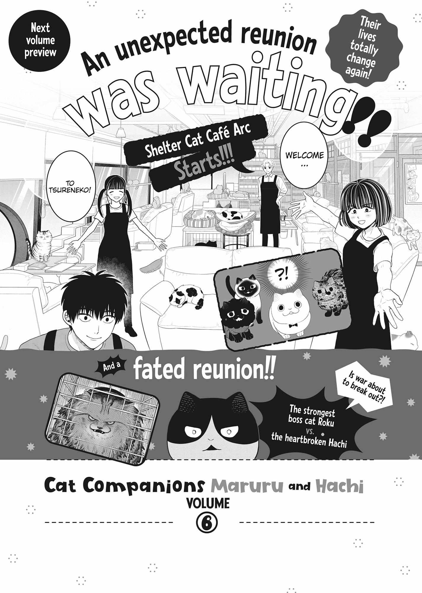 Tsureneko: Maruru to Hachi Chapter 42 page 32 - 