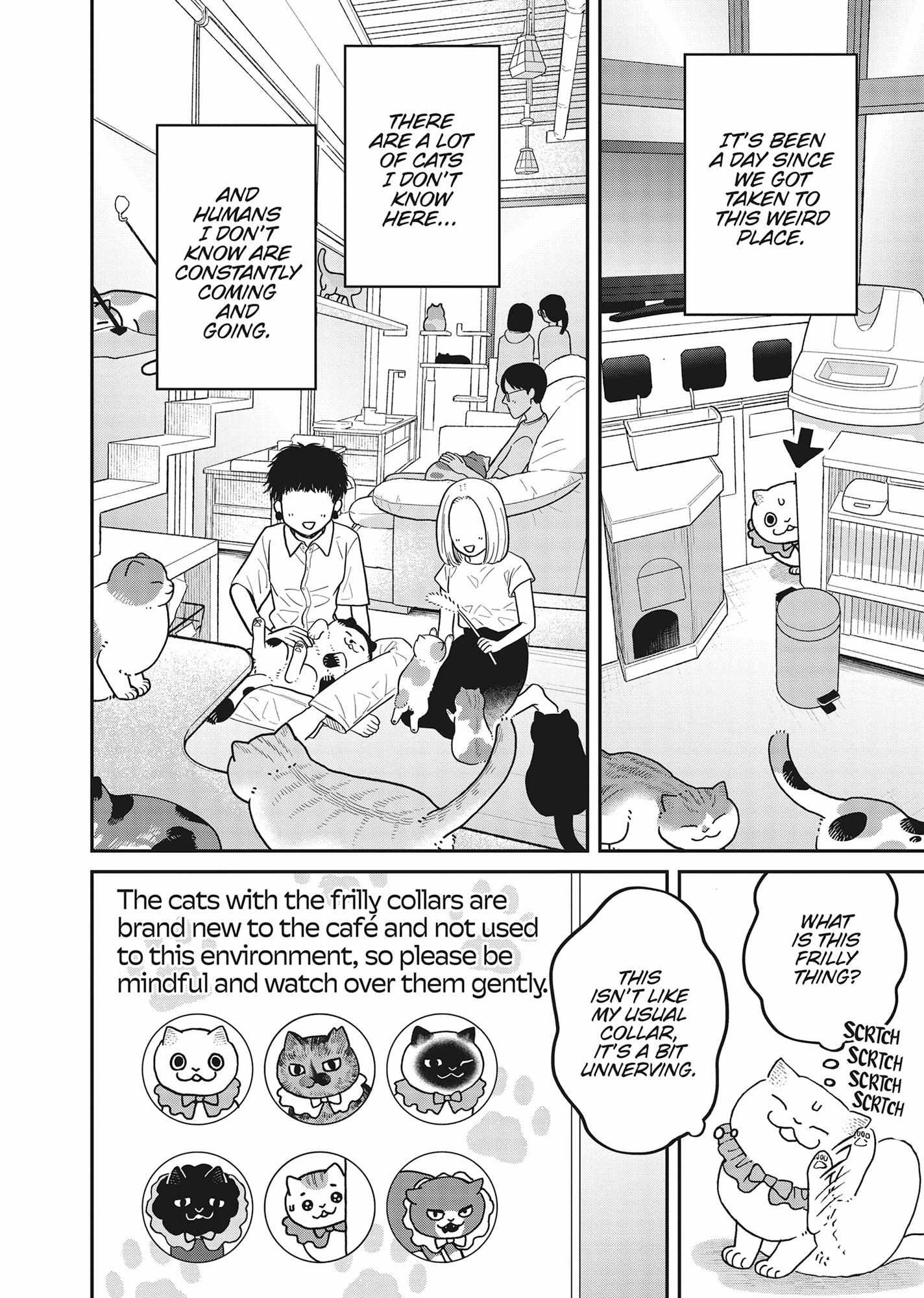 Tsureneko: Maruru to Hachi Chapter 42 page 5 - 