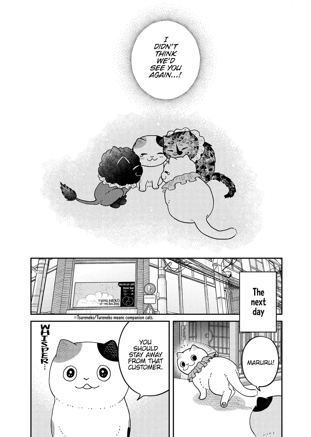 Tsureneko: Maruru to Hachi Chapter 43 page 13 - 