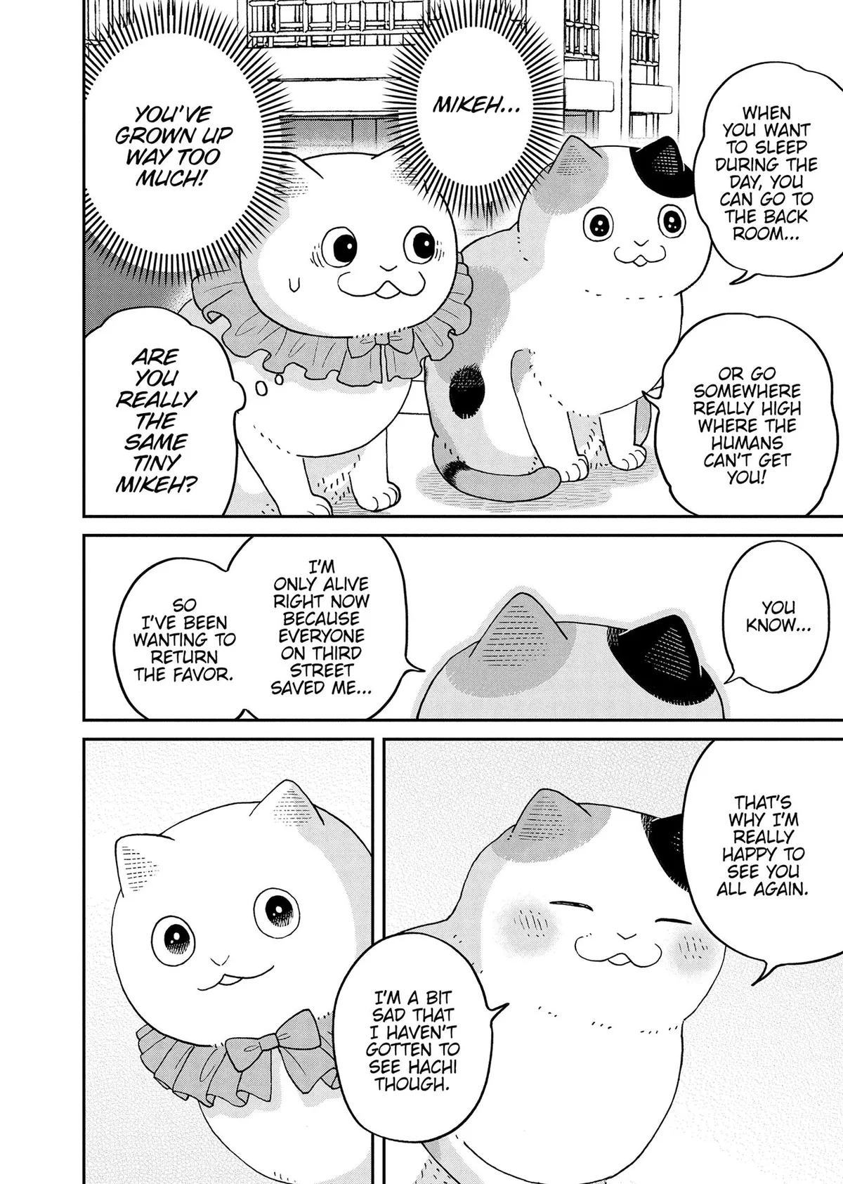 Tsureneko: Maruru to Hachi Chapter 43 page 15 - 