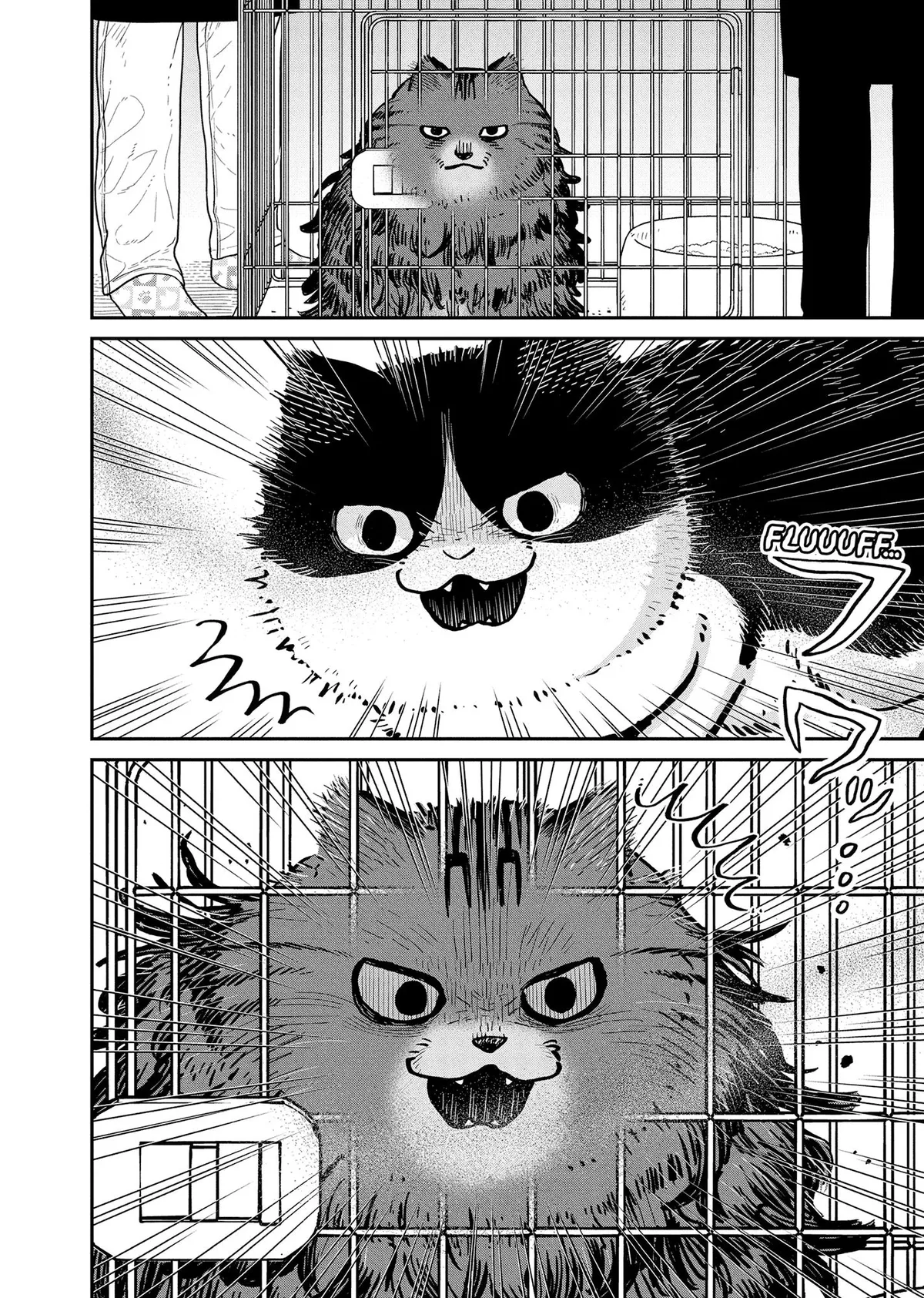 Tsureneko: Maruru to Hachi Chapter 44 page 2 - 