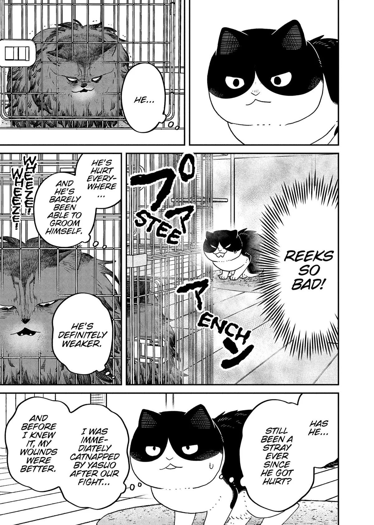 Tsureneko: Maruru to Hachi Chapter 44 page 5 - 