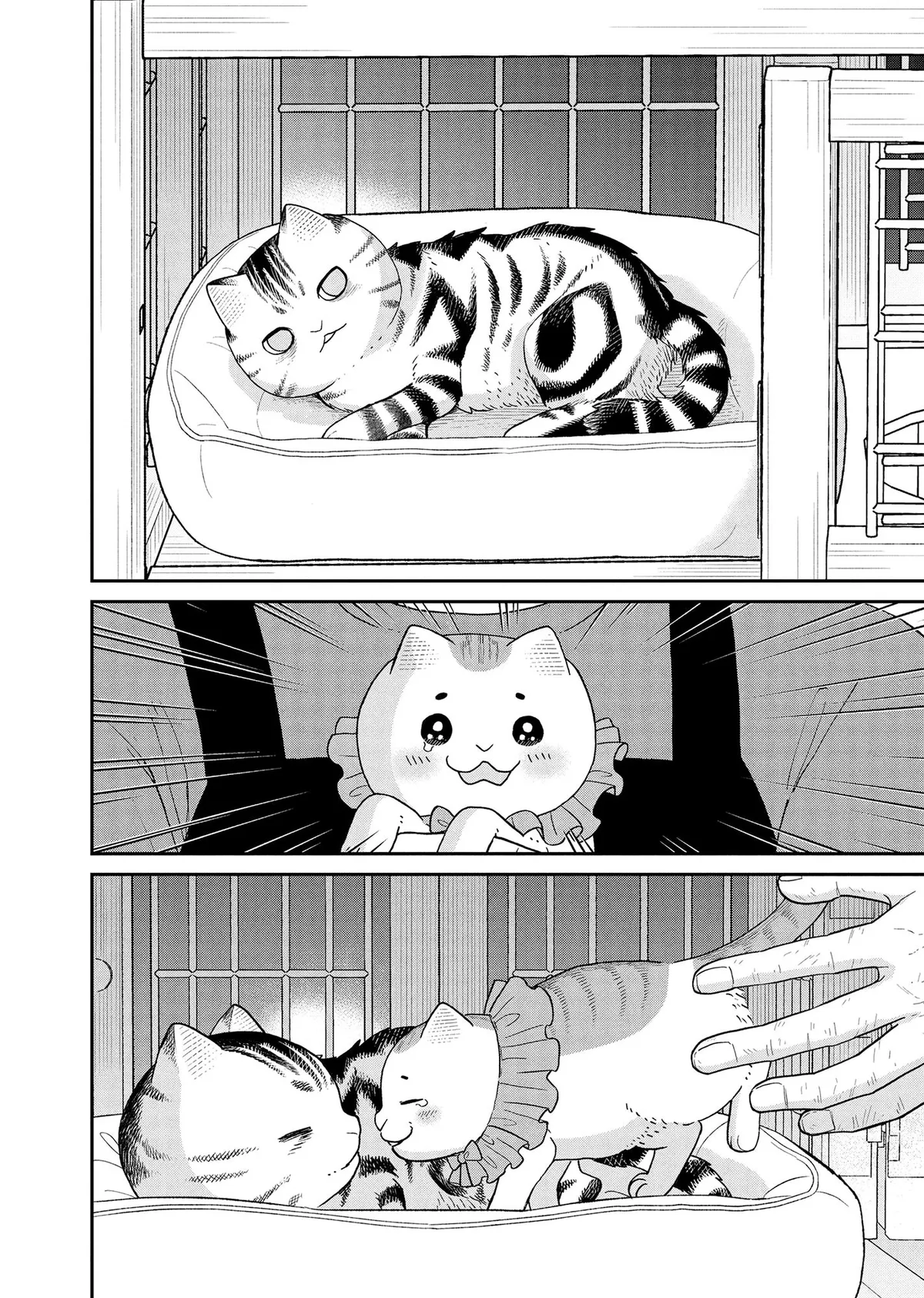 Tsureneko: Maruru to Hachi Chapter 44 page 10 - 