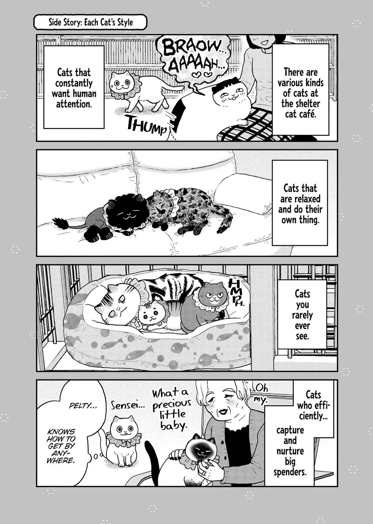 Tsureneko: Maruru to Hachi Chapter 45 page 13 - 