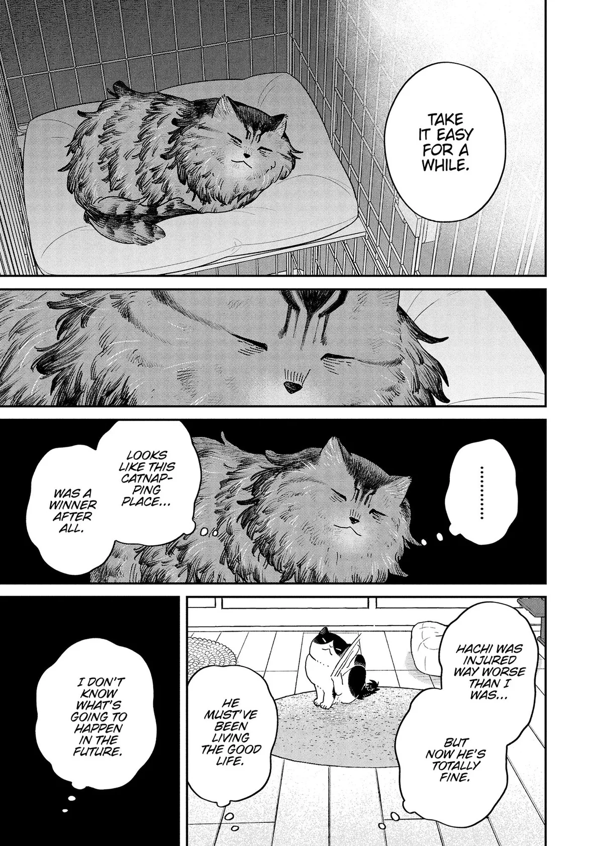 Tsureneko: Maruru to Hachi Chapter 46 page 5 - 
