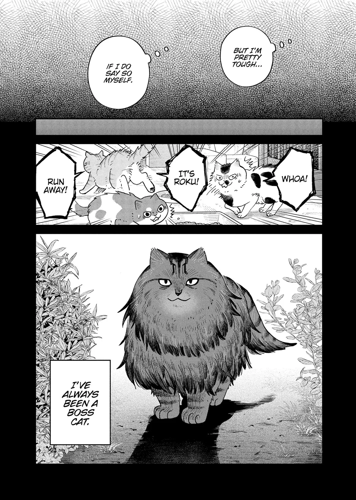 Tsureneko: Maruru to Hachi Chapter 46 page 6 - 