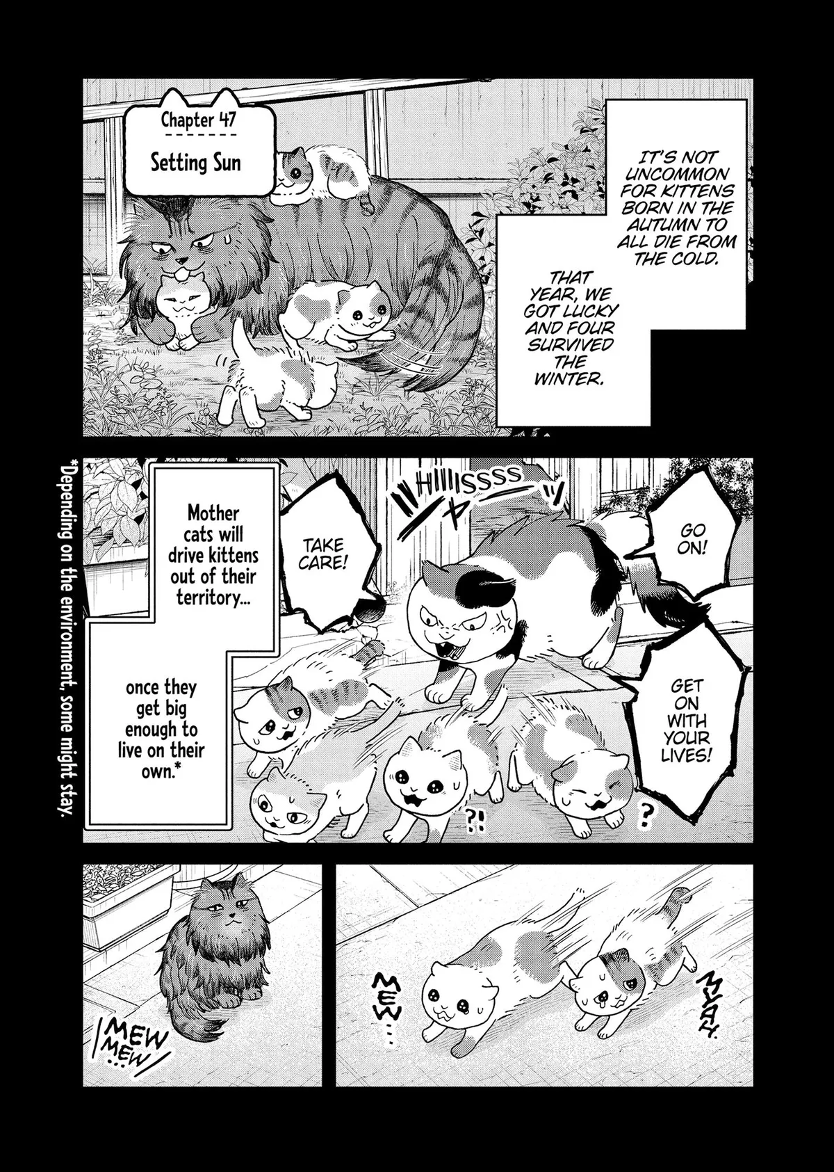 Tsureneko: Maruru to Hachi Chapter 47 page 1 - 