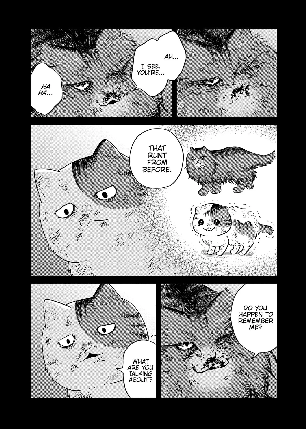 Tsureneko: Maruru to Hachi Chapter 47 page 12 - 