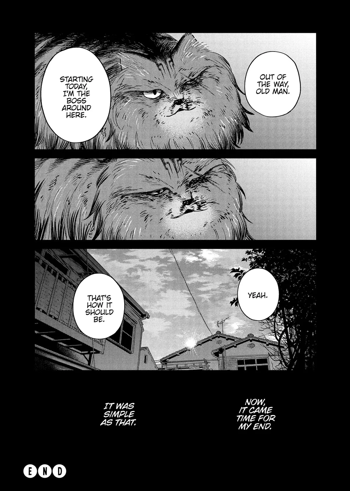 Tsureneko: Maruru to Hachi Chapter 47 page 13 - 