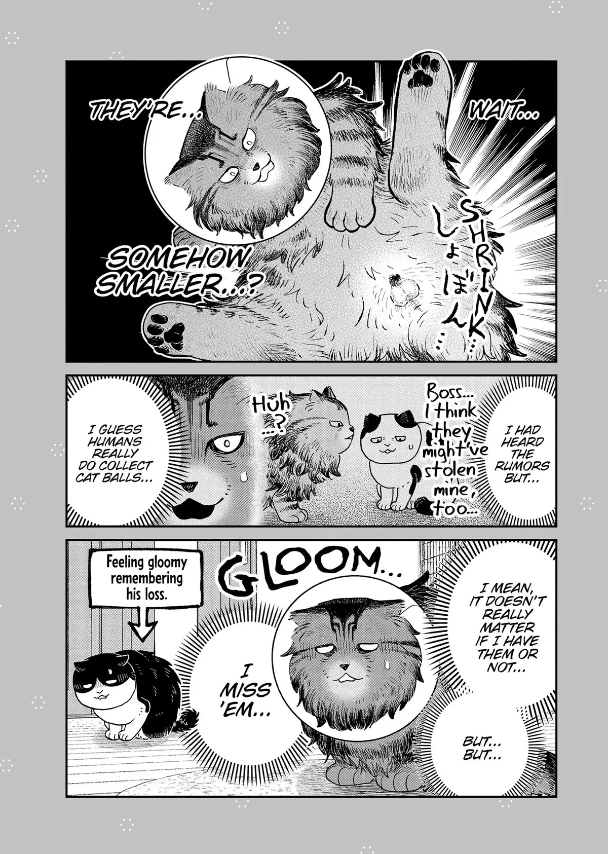 Tsureneko: Maruru to Hachi Chapter 48 page 12 - 