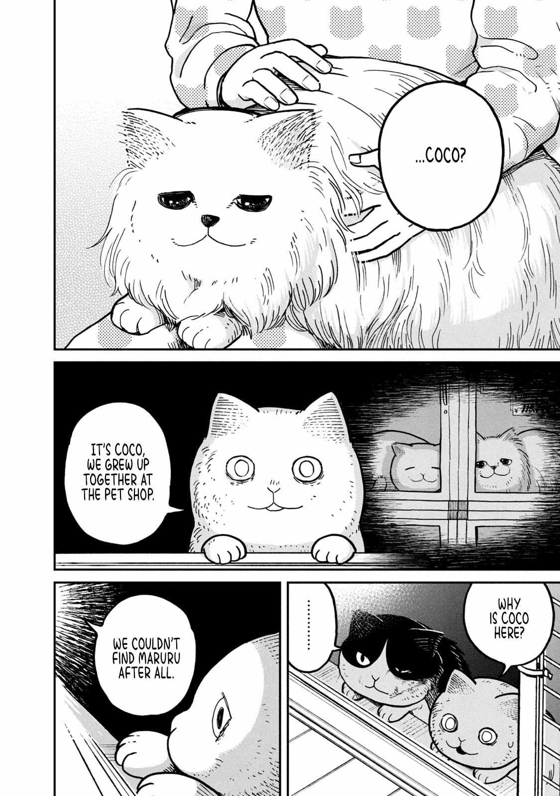 Tsureneko: Maruru to Hachi Chapter 5 page 13 - 
