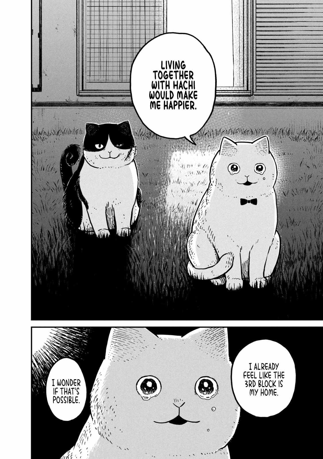 Tsureneko: Maruru to Hachi Chapter 5 page 17 - 
