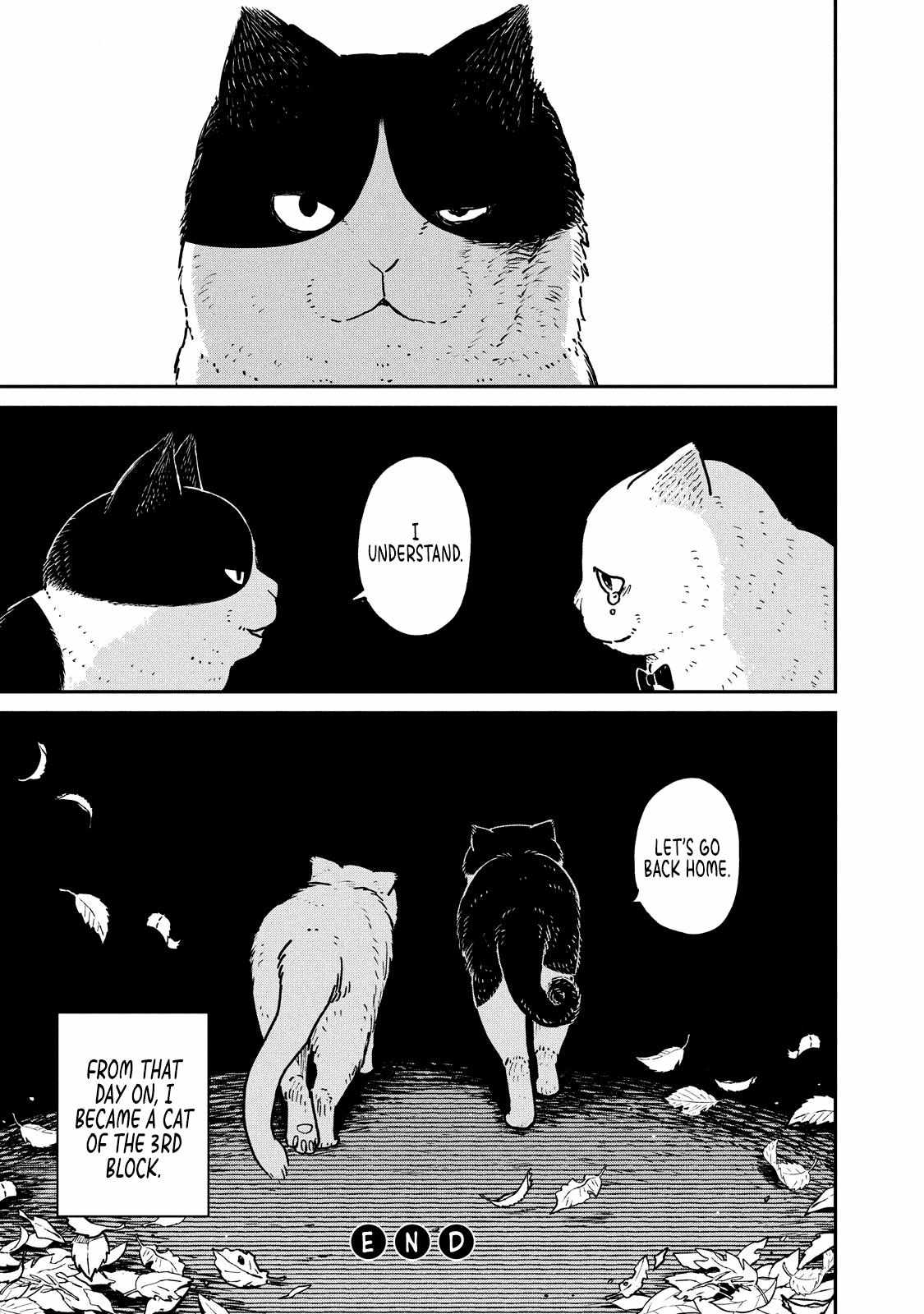 Tsureneko: Maruru to Hachi Chapter 5 page 18 - 