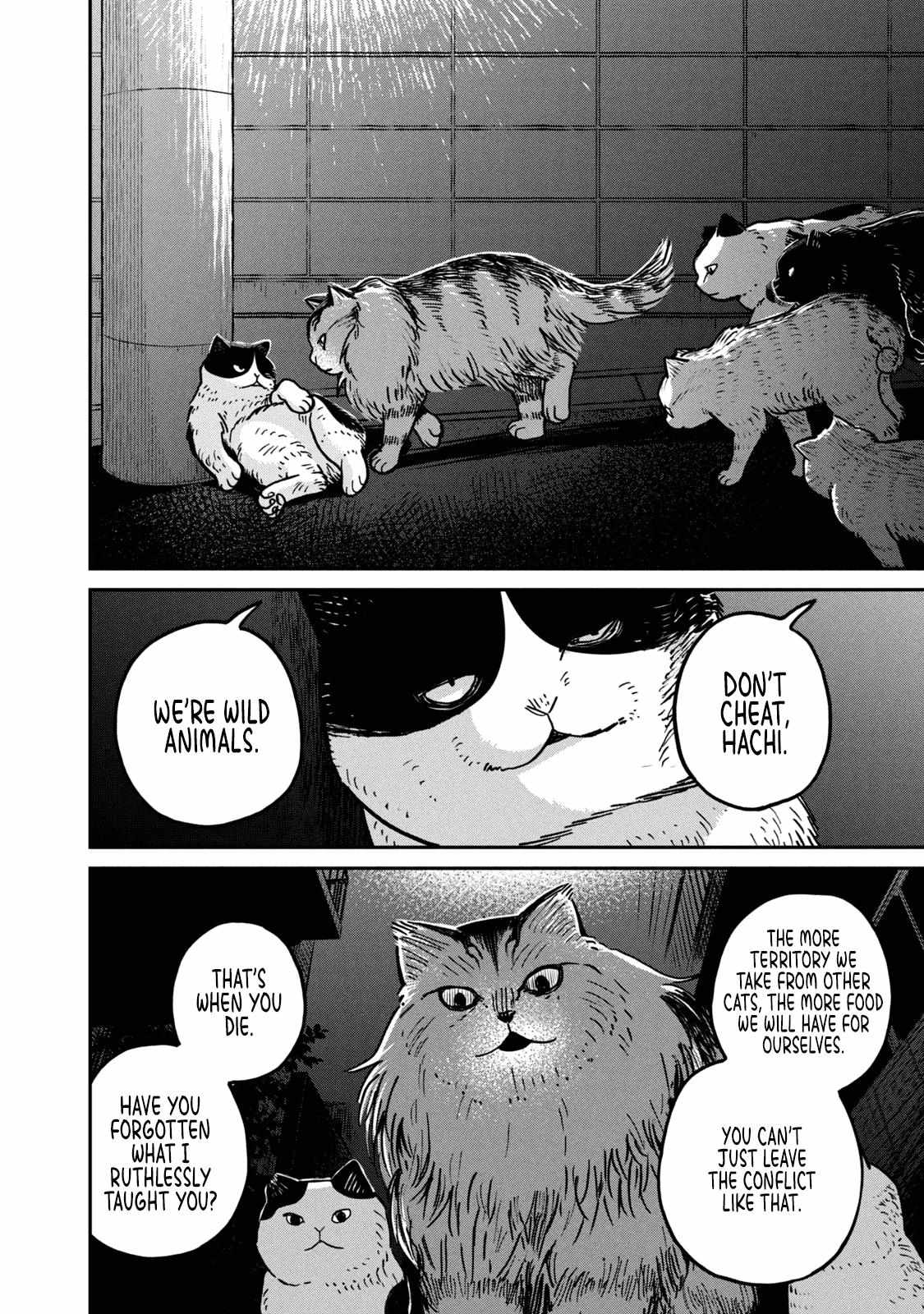 Tsureneko: Maruru to Hachi Chapter 5 page 5 - 