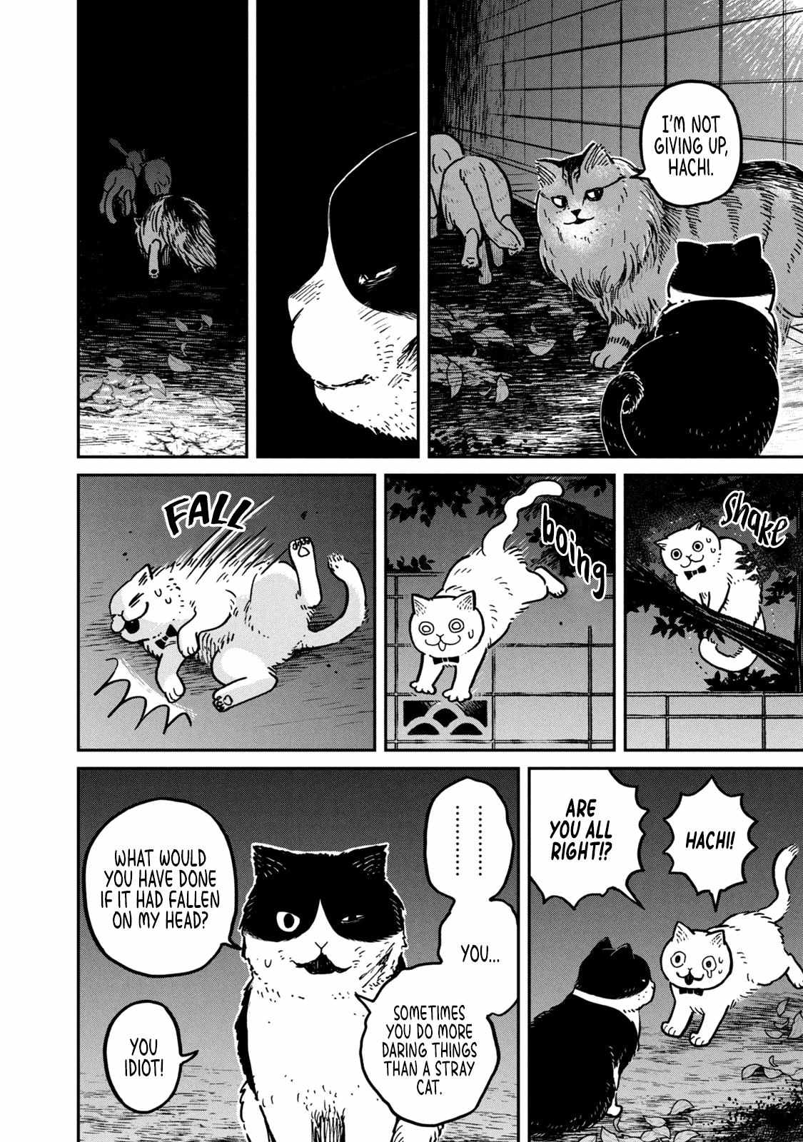 Tsureneko: Maruru to Hachi Chapter 5 page 9 - 
