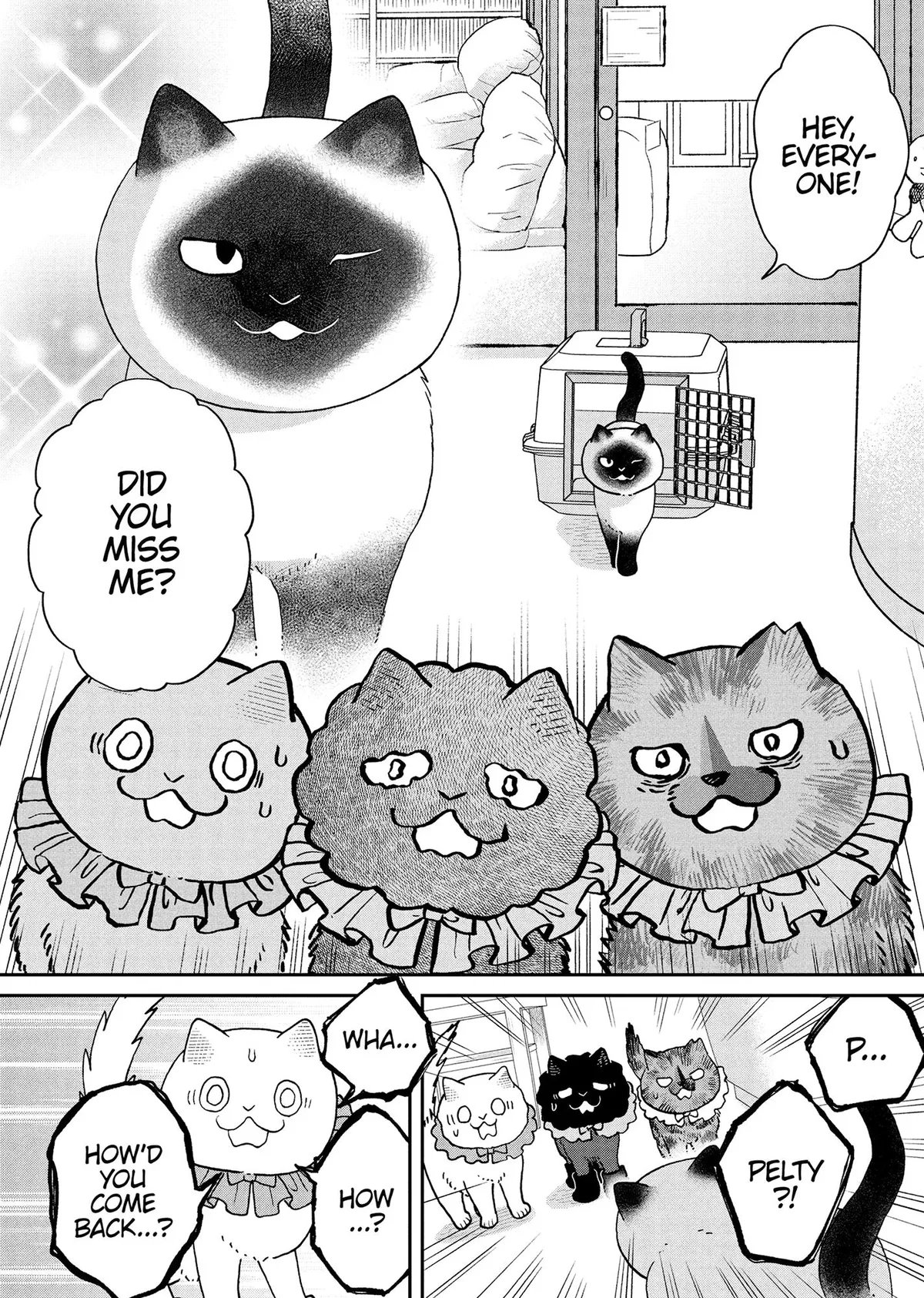Tsureneko: Maruru to Hachi Chapter 50 page 12 - 