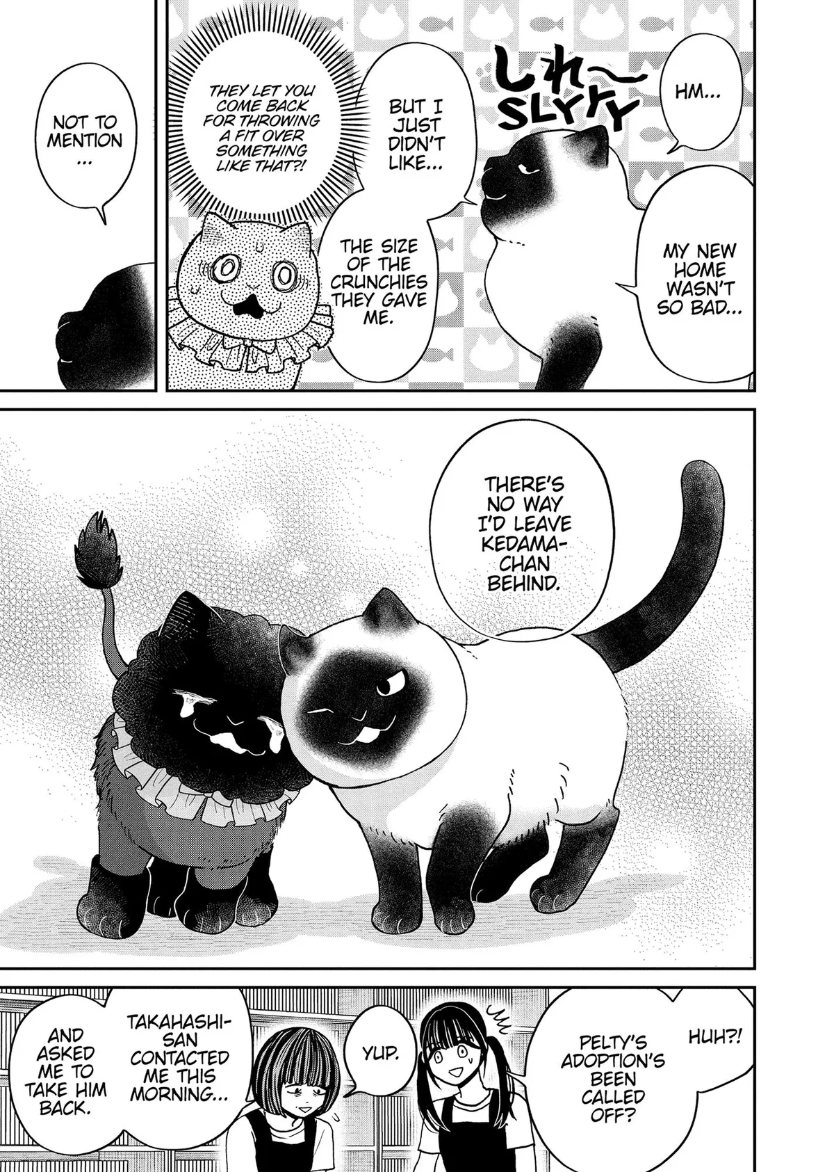 Tsureneko: Maruru to Hachi Chapter 50 page 13 - 