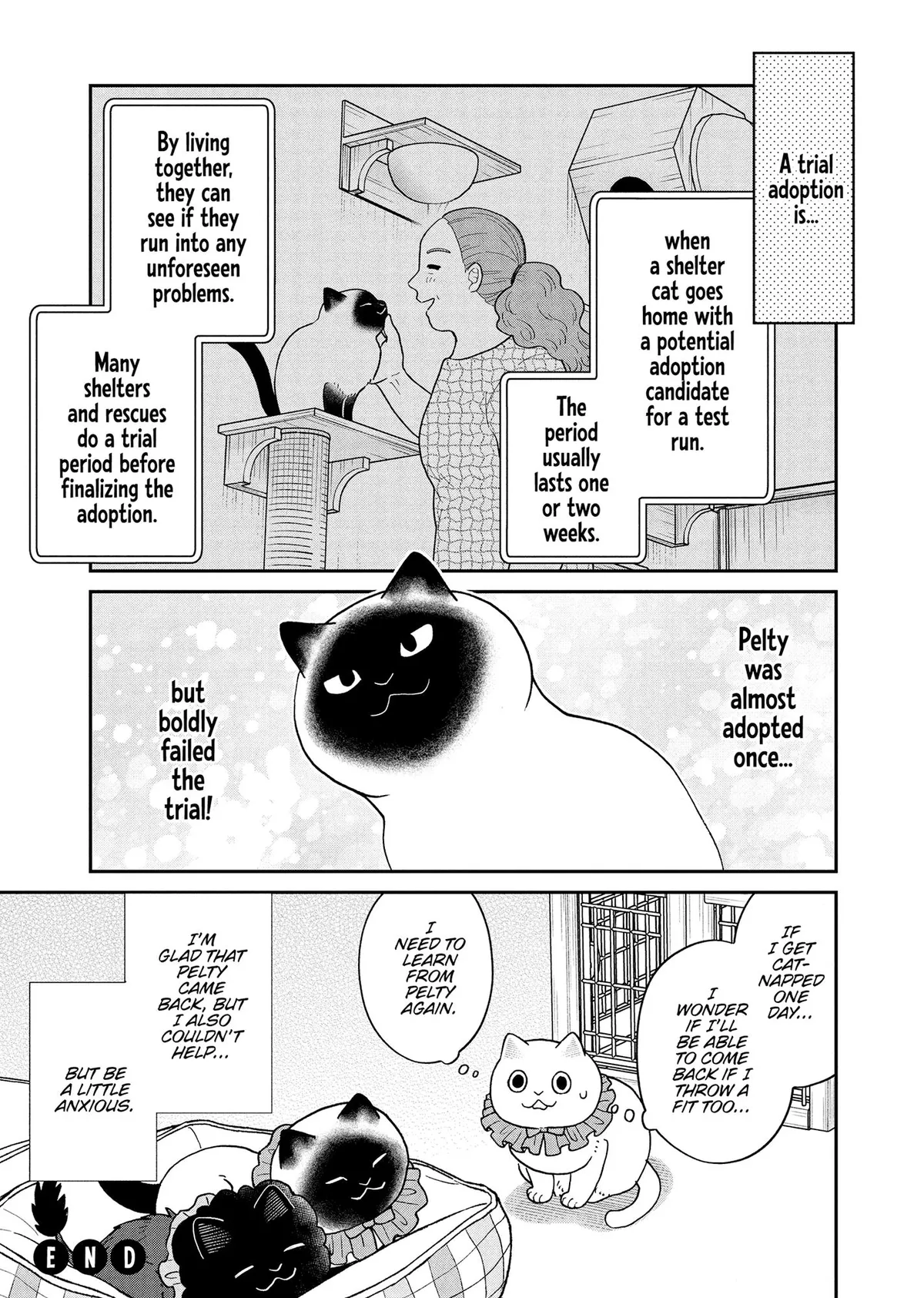Tsureneko: Maruru to Hachi Chapter 50 page 15 - 