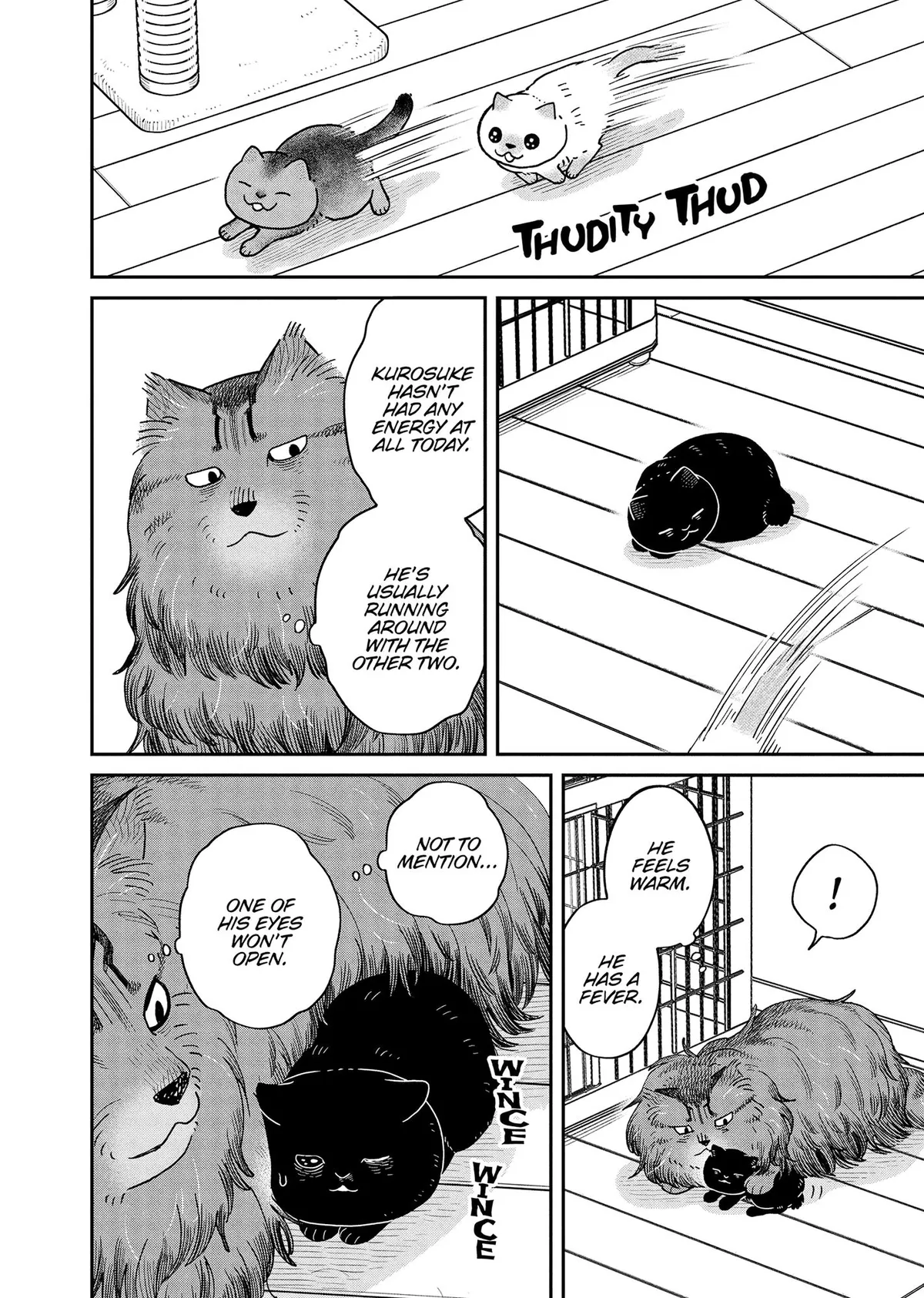 Tsureneko: Maruru to Hachi Chapter 51 page 2 - 