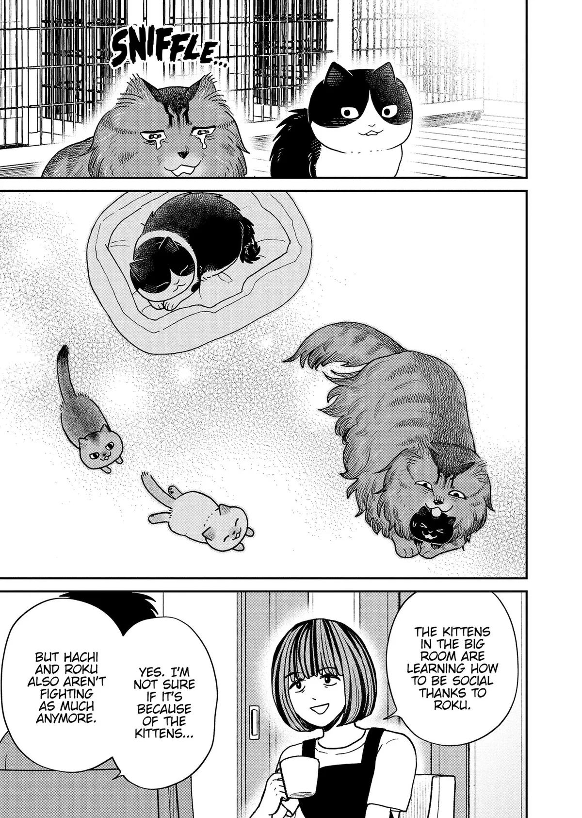 Tsureneko: Maruru to Hachi Chapter 51 page 11 - 