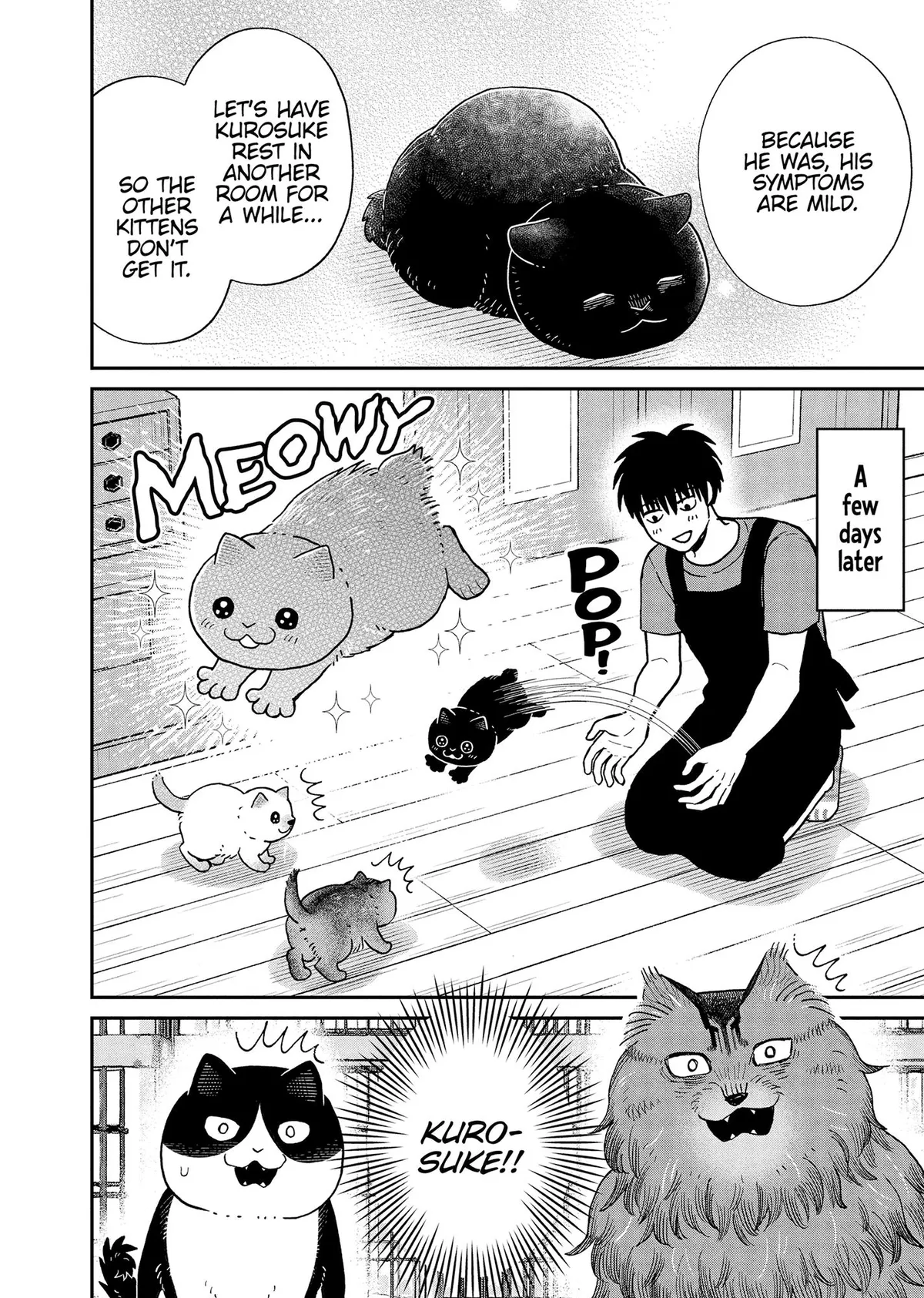 Tsureneko: Maruru to Hachi Chapter 51 page 8 - 