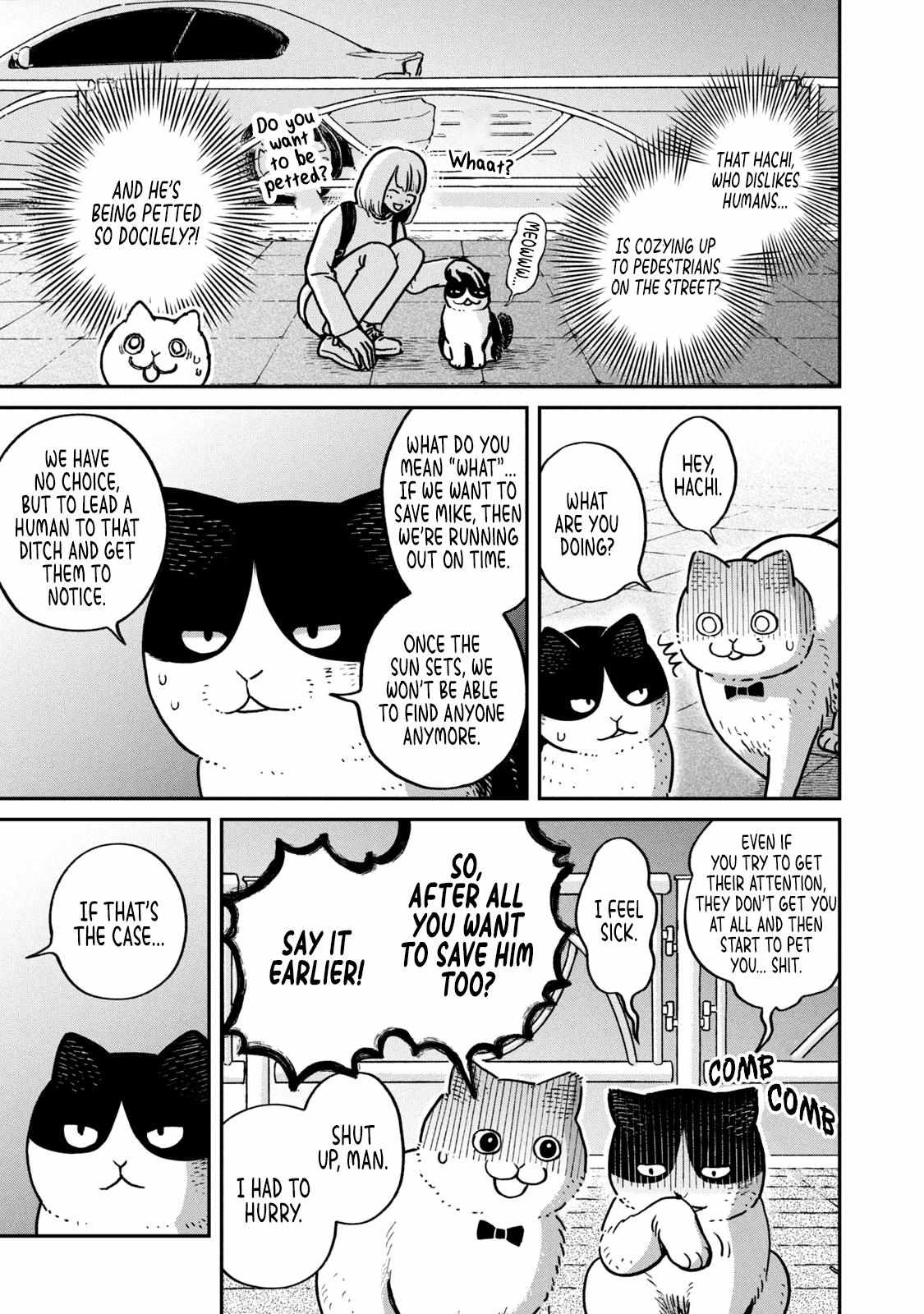Tsureneko: Maruru to Hachi Chapter 6 page 12 - 