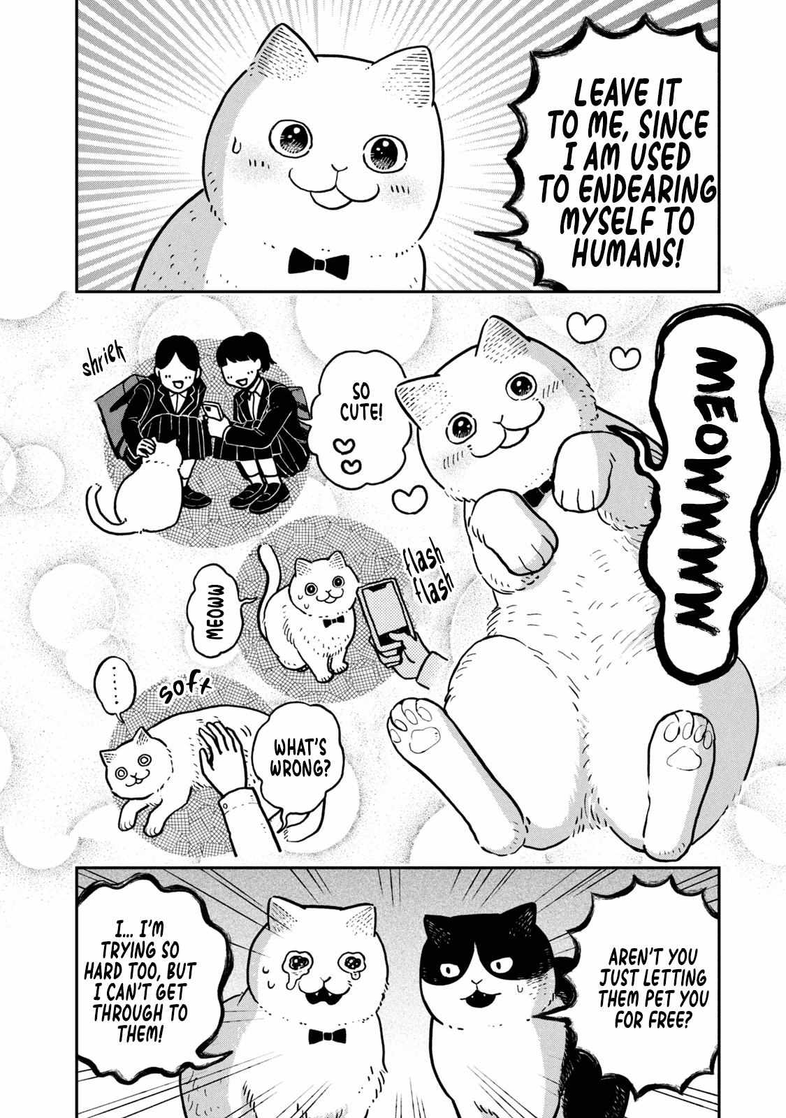 Tsureneko: Maruru to Hachi Chapter 6 page 13 - 