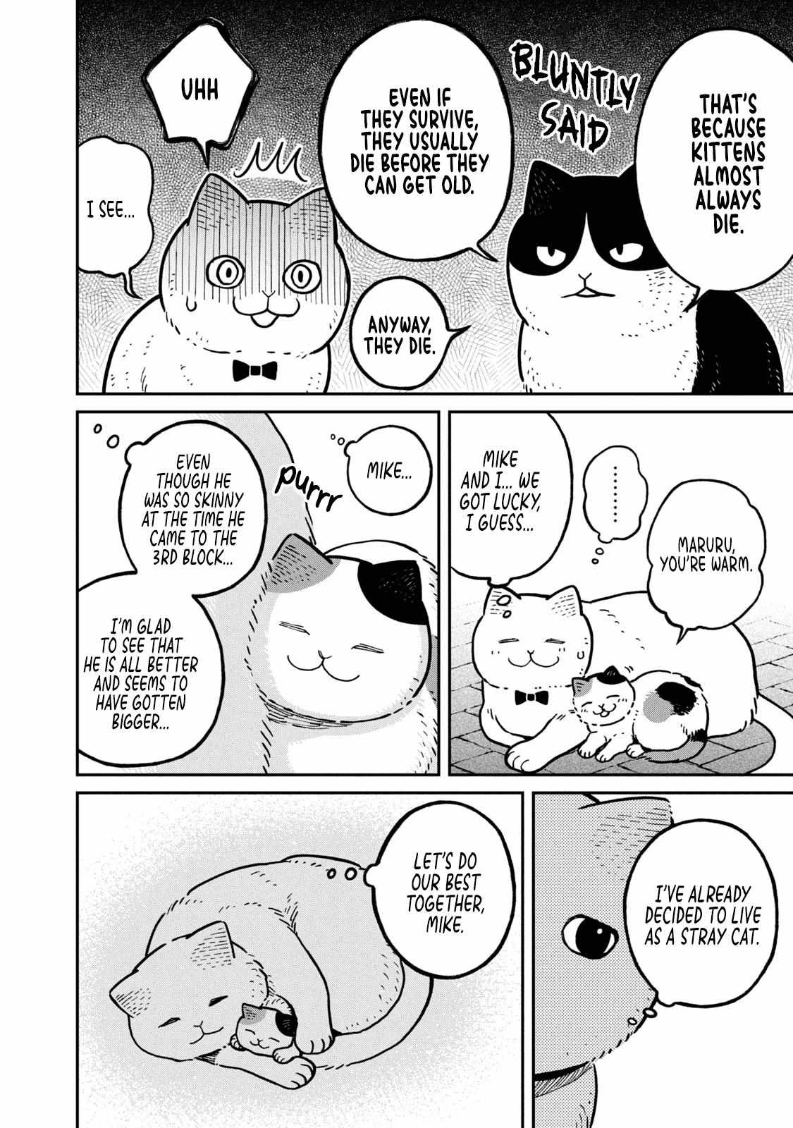 Tsureneko: Maruru to Hachi Chapter 6 page 5 - 
