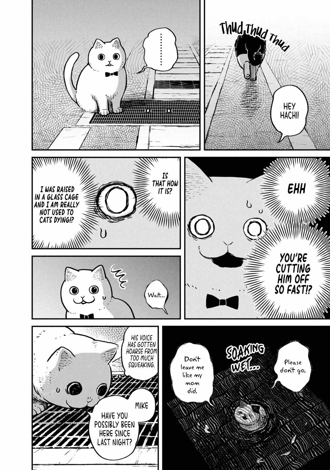 Tsureneko: Maruru to Hachi Chapter 6 page 9 - 