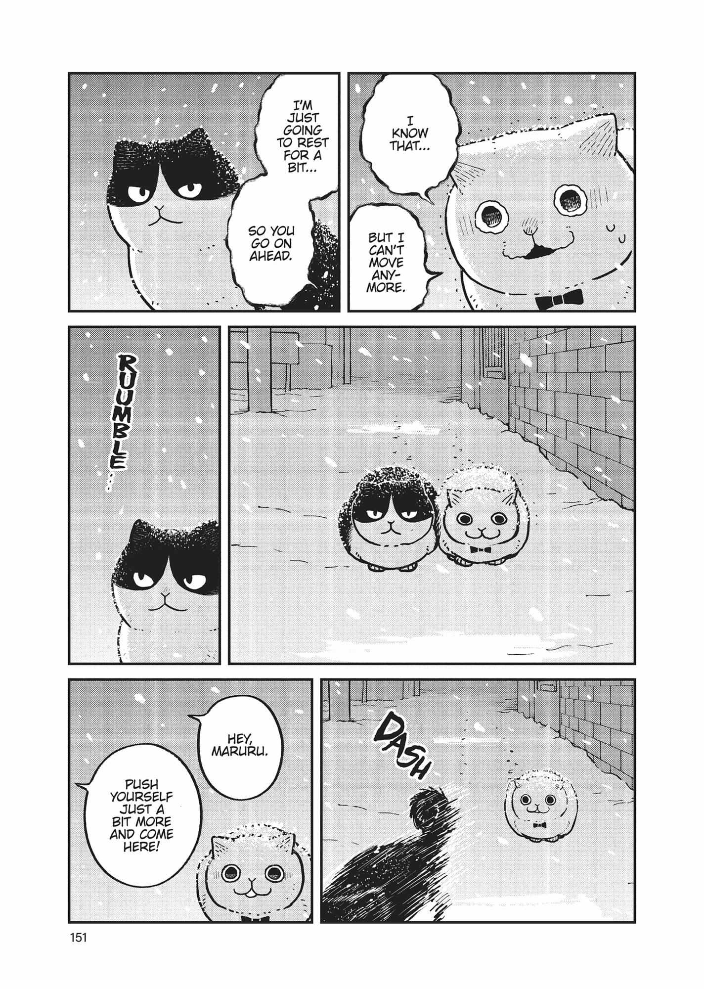 Tsureneko: Maruru to Hachi Chapter 7 page 4 - 