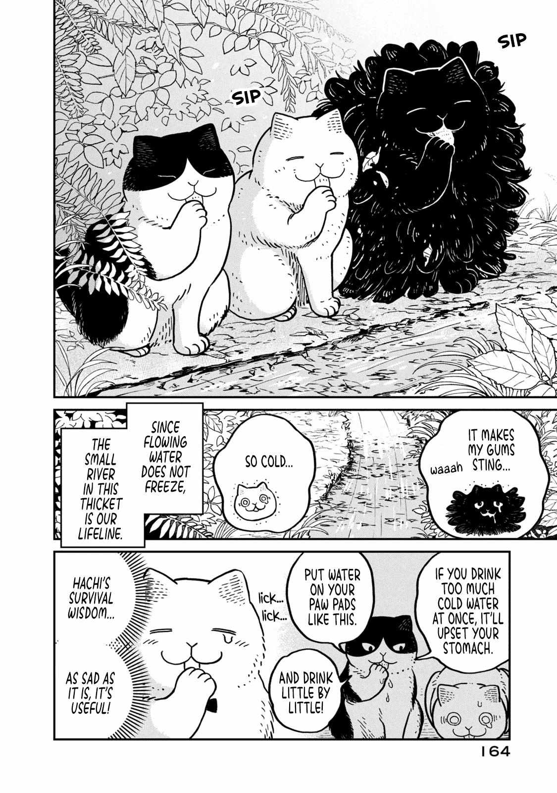 Tsureneko: Maruru to Hachi Chapter 8 page 4 - 