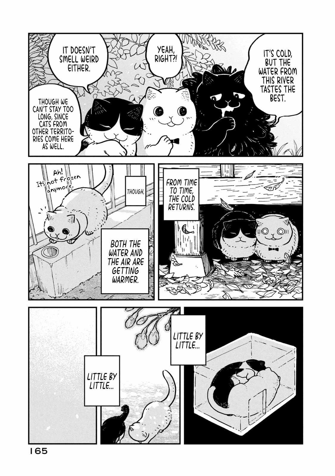 Tsureneko: Maruru to Hachi Chapter 8 page 5 - 