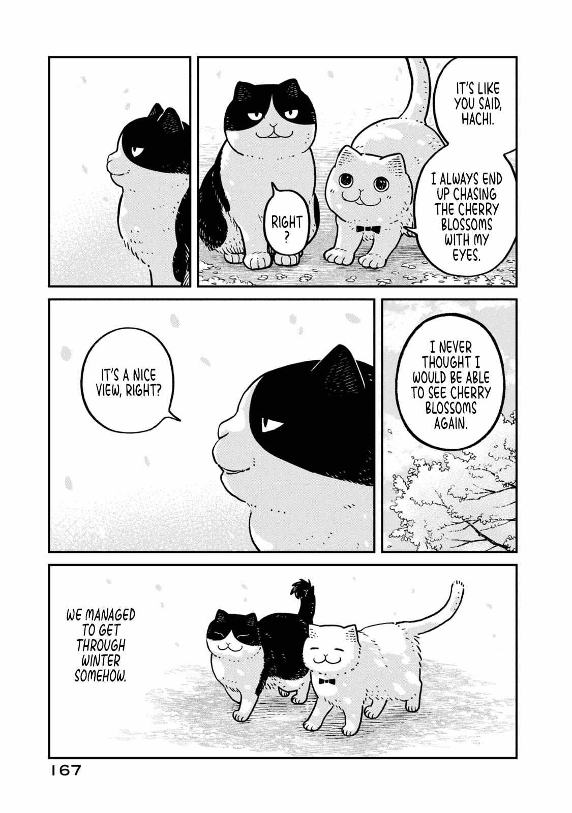Tsureneko: Maruru to Hachi Chapter 8 page 7 - 